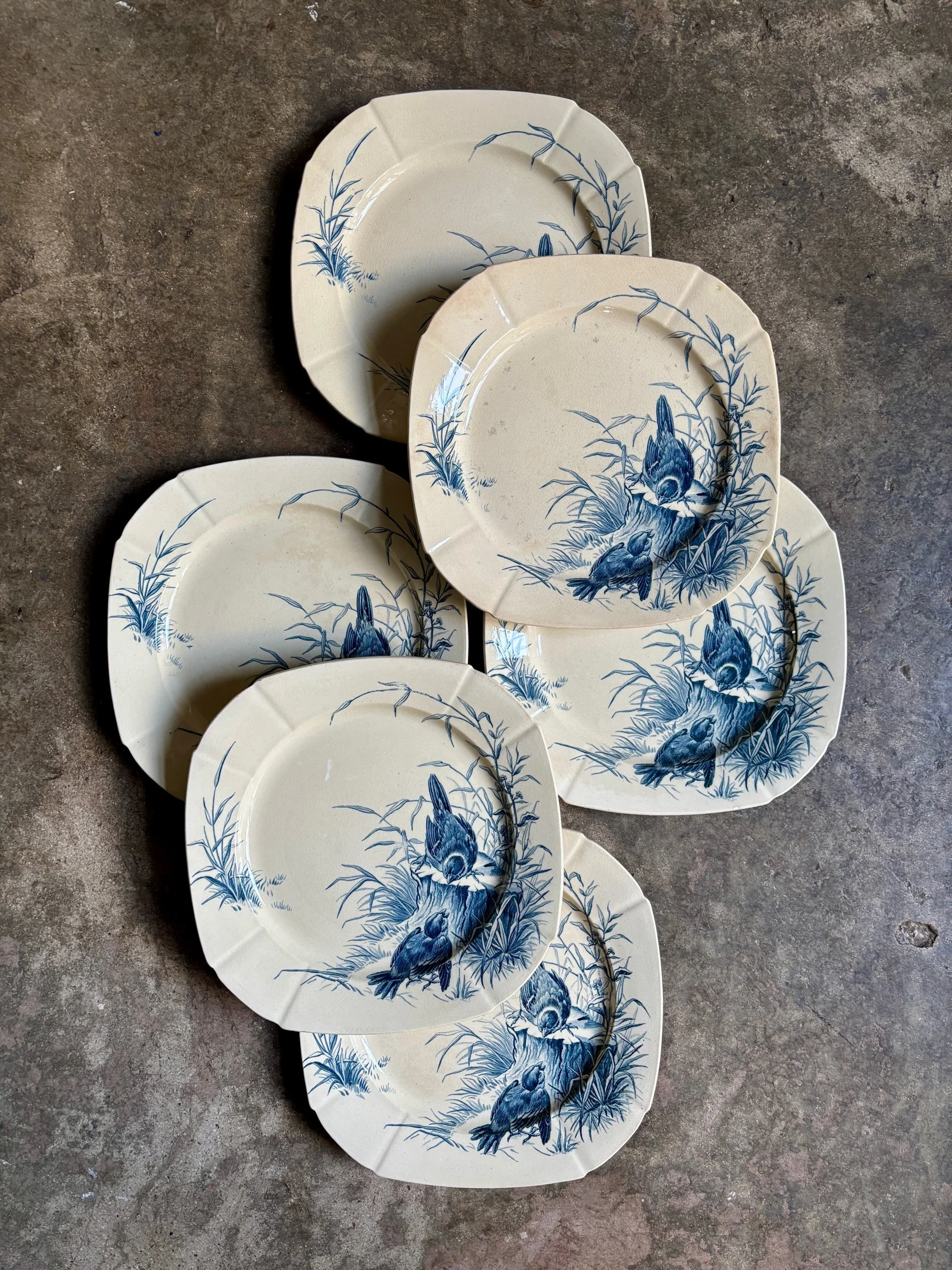6 assiettes plates Gien en terre de fer bleue, service "Oiseaux" vers 1870 n°1
