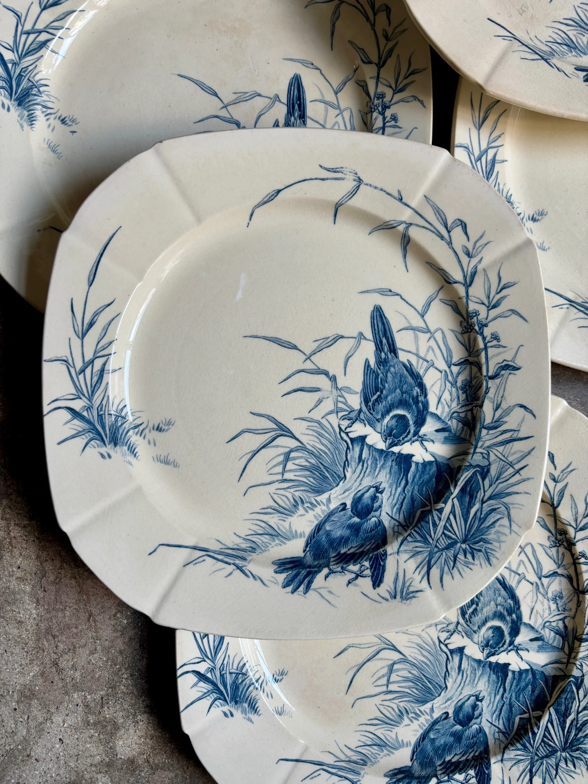 assiettes-plates-gien-oiseaux-terre-fer-bvleu-vaisselle-vintage-axs-design-paris-france-1