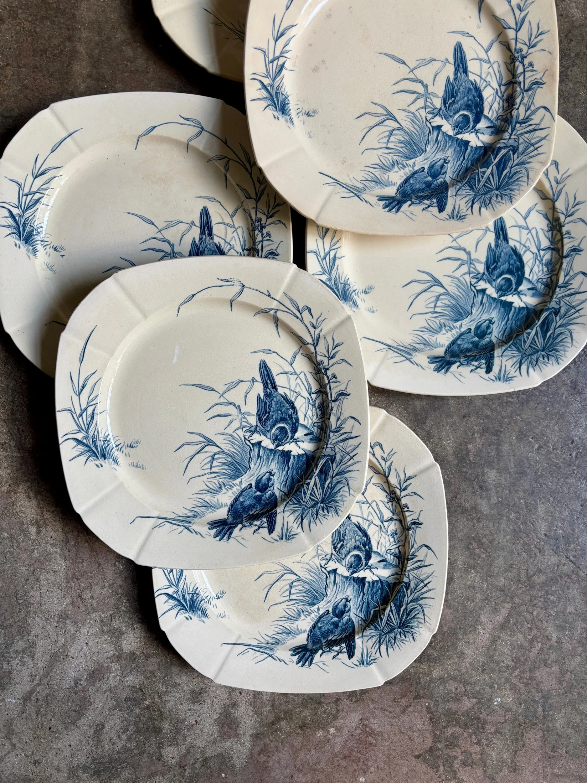 assiettes-plates-gien-oiseaux-terre-fer-bvleu-vaisselle-vintage-axs-design-paris-france-1