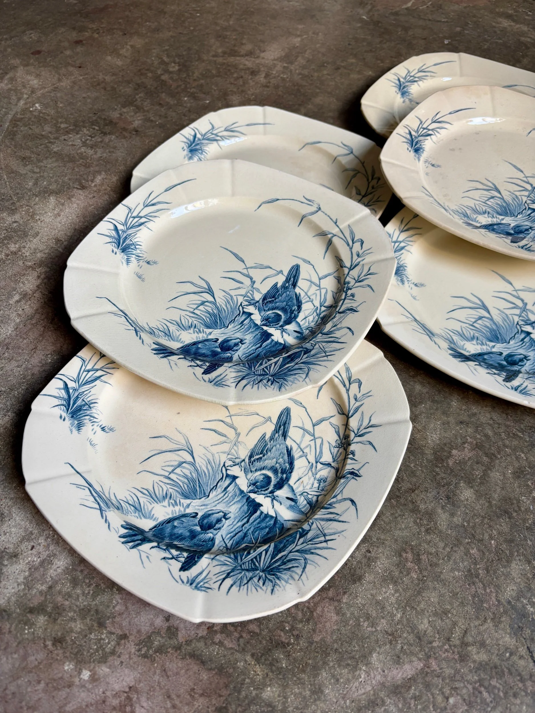 assiettes-plates-gien-oiseaux-terre-fer-bvleu-vaisselle-vintage-axs-design-paris-france-1