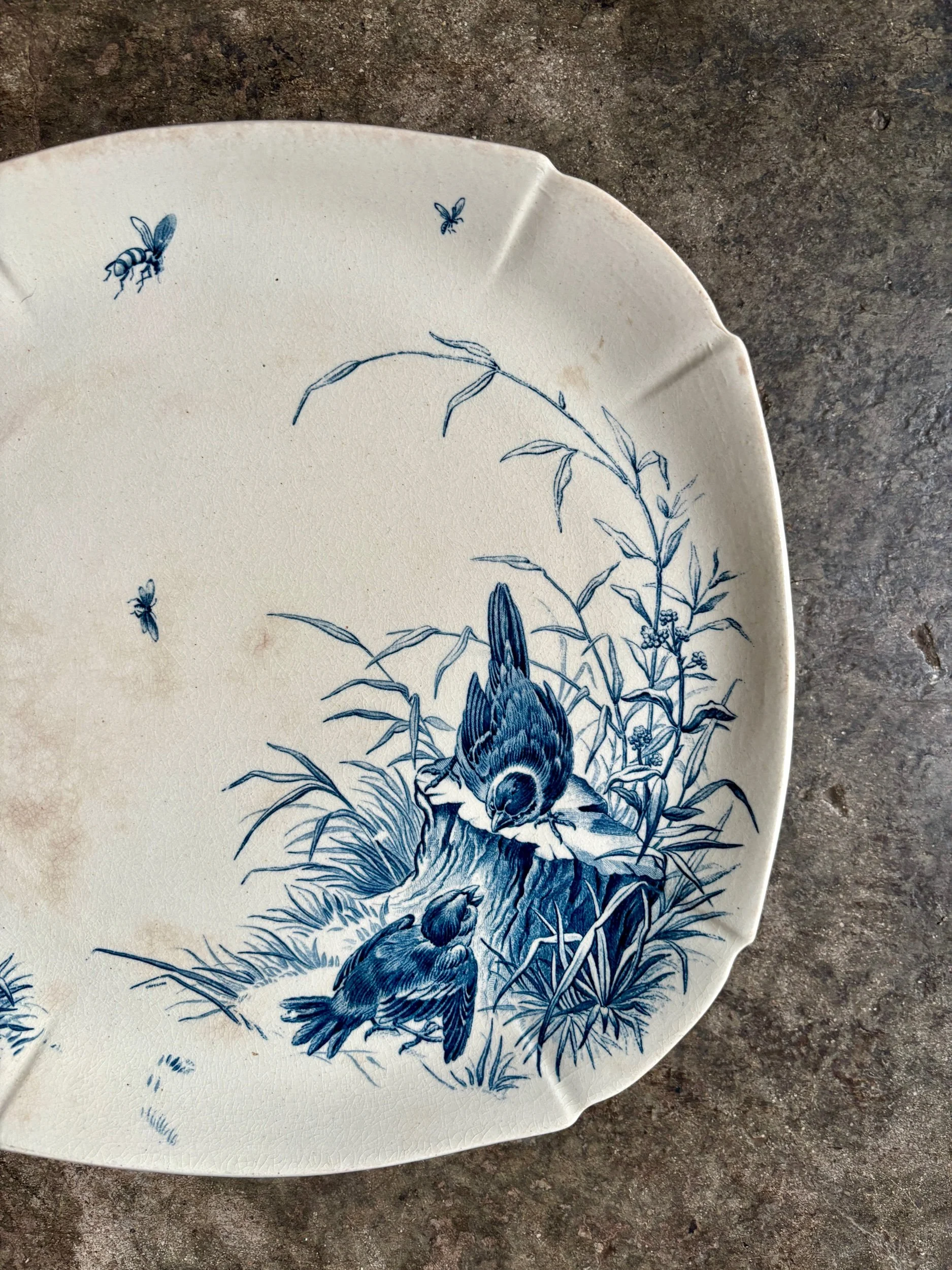 Moyen plat carré sur piédouche Gien en terre de fer bleue, service "Oiseaux" vers 1870