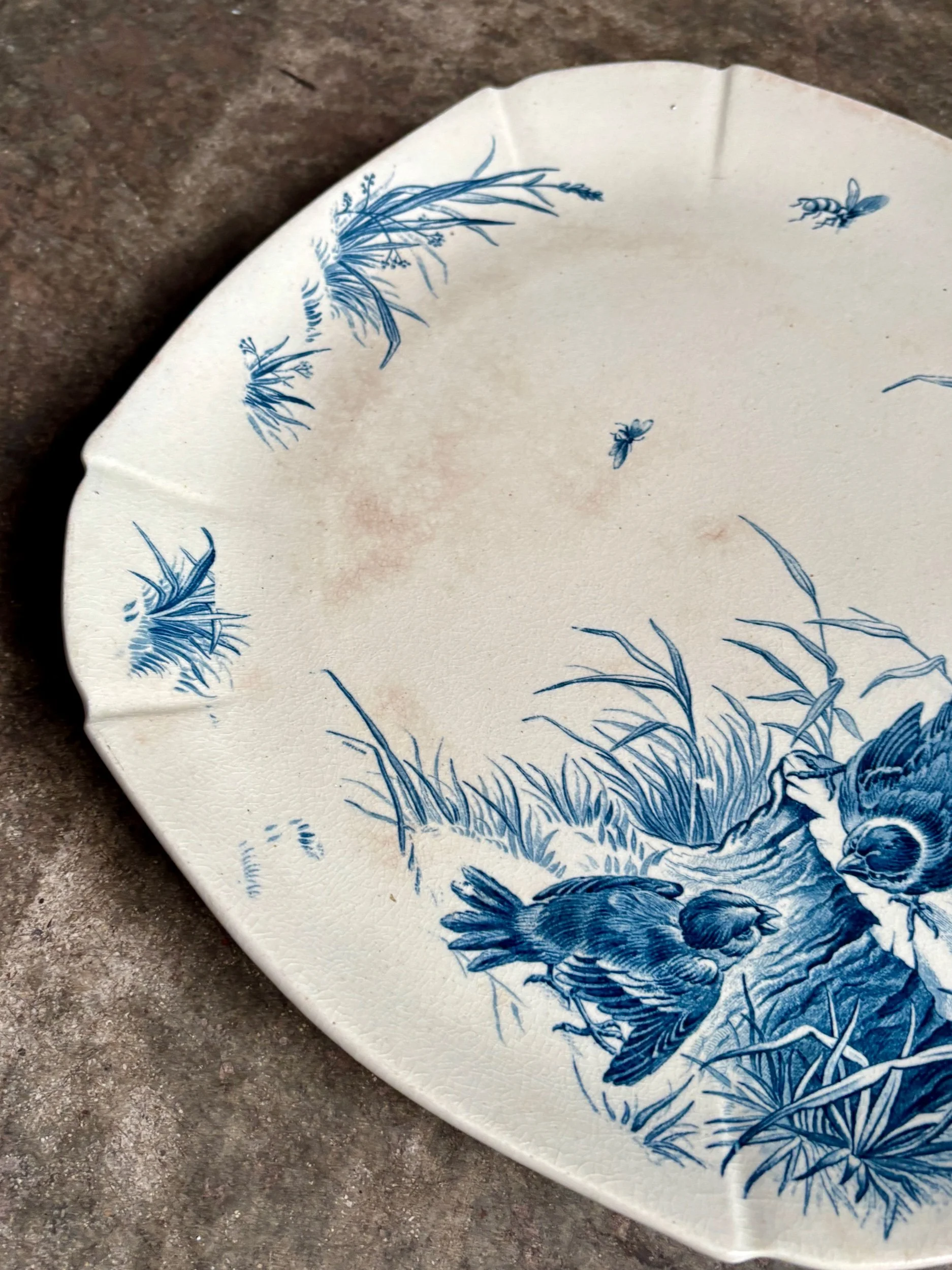 moyen-plat-carre-gien-piedouche-bleu-terre-fer-oiseaux-vaisselle-vintage-axs-design-paris-france