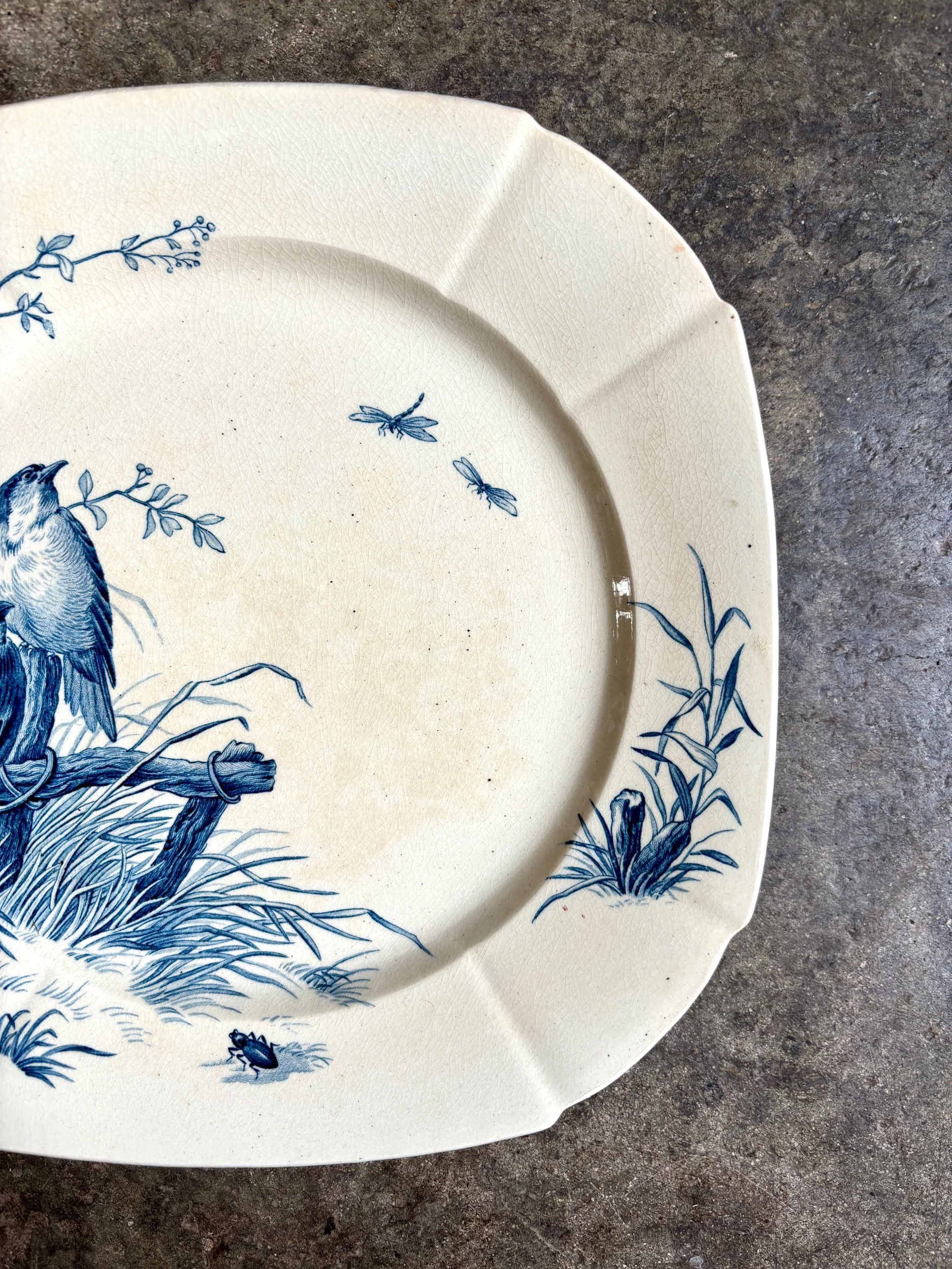 assiette-plate-gien-oiseaux-terre-fer-bleu-vaisselle-vintage-axs-design-paris-france-3