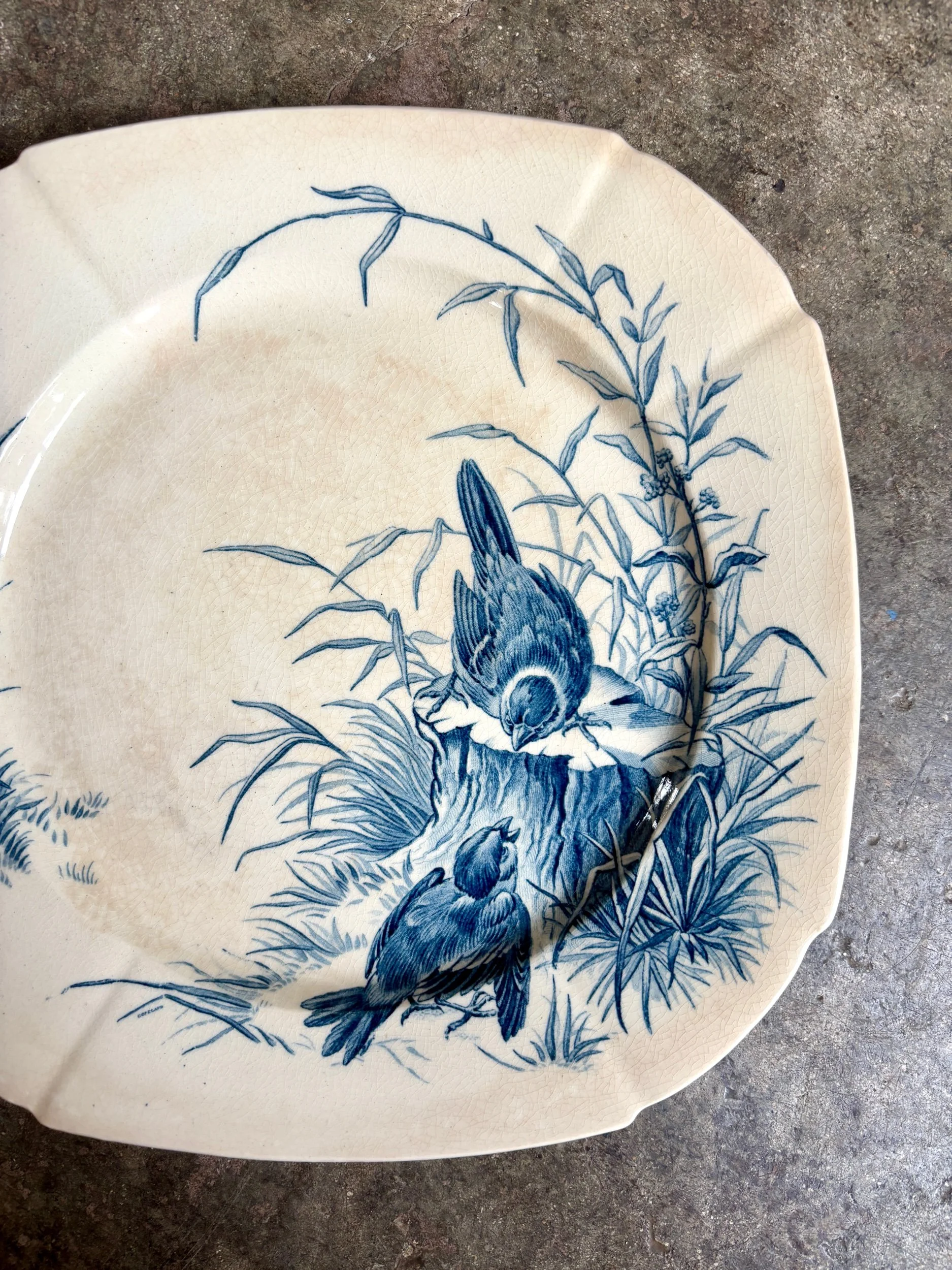 Assiette plate Gien en terre de fer bleue, service "Oiseaux" vers 1870 n°5