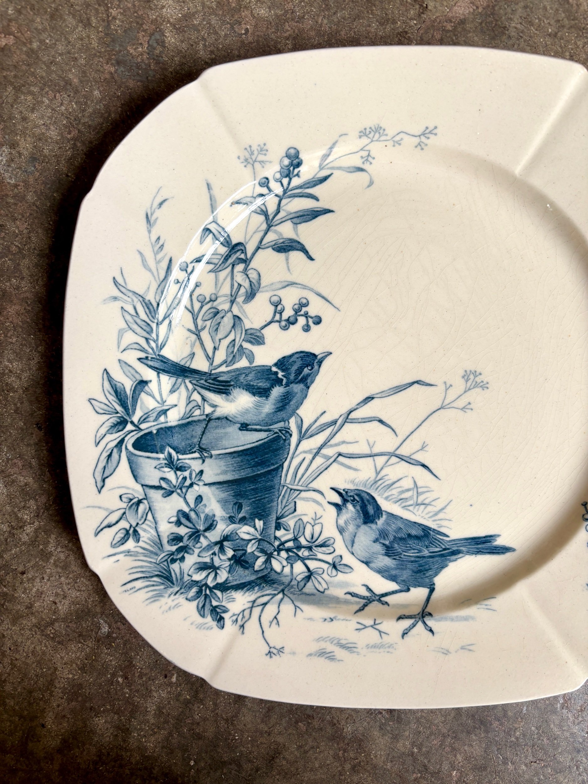 Assiette plate Gien en terre de fer bleue, service "Oiseaux" vers 1870 n°6