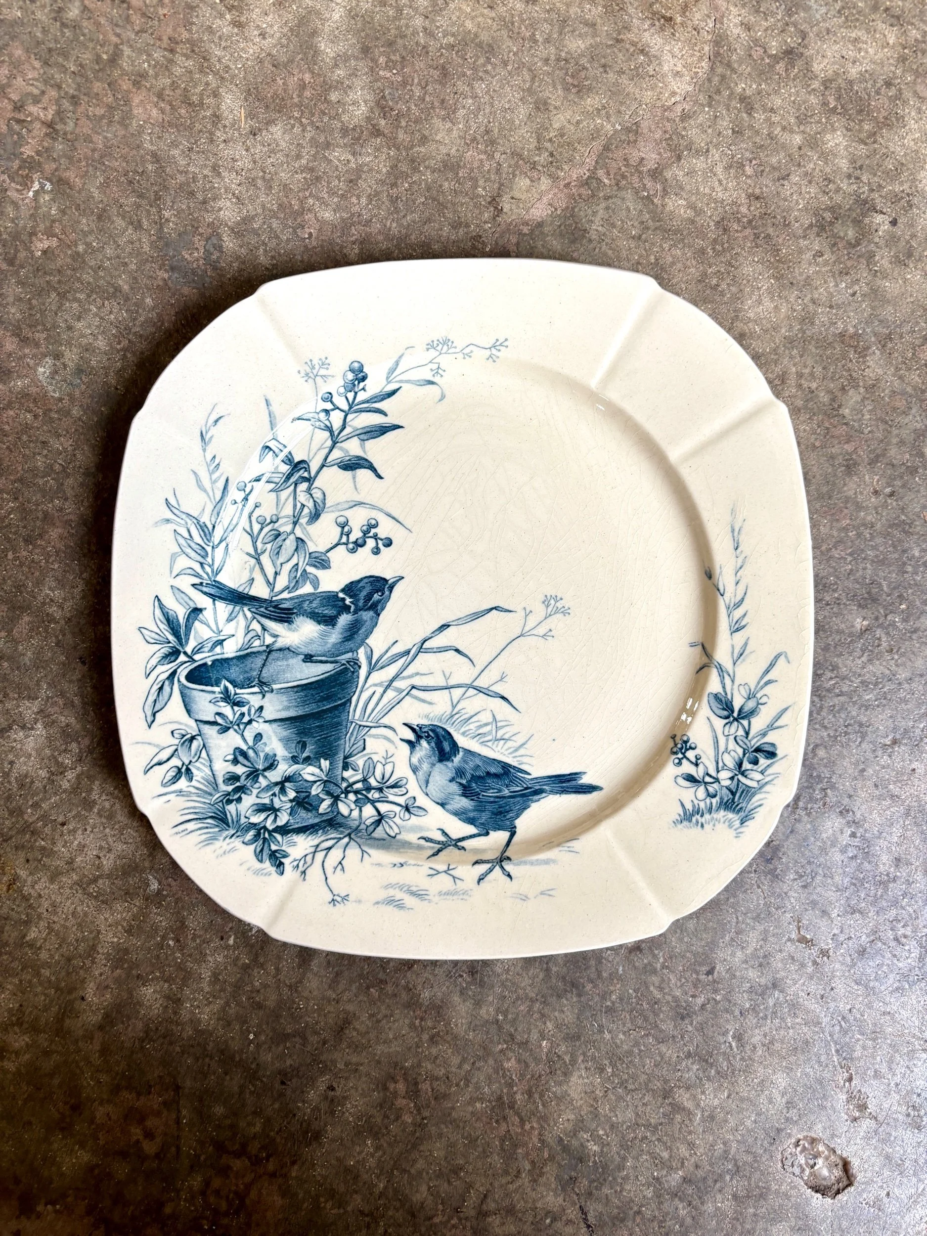 assiette-plate-gien-oiseaux-terre-fer-bleu-vaisselle-vintage-axs-design-paris-france-6