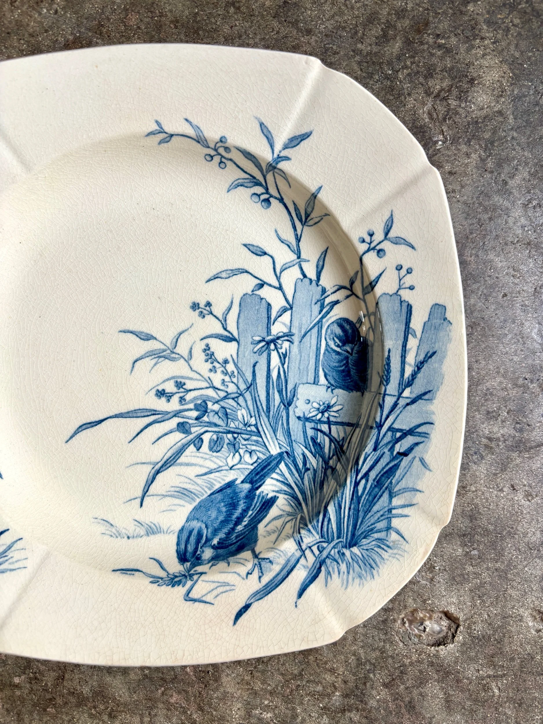 assiette-creuse-gien-oiseaux-terre-fer-bleu-vaisselle-vintage-axs-design-paris-france-2