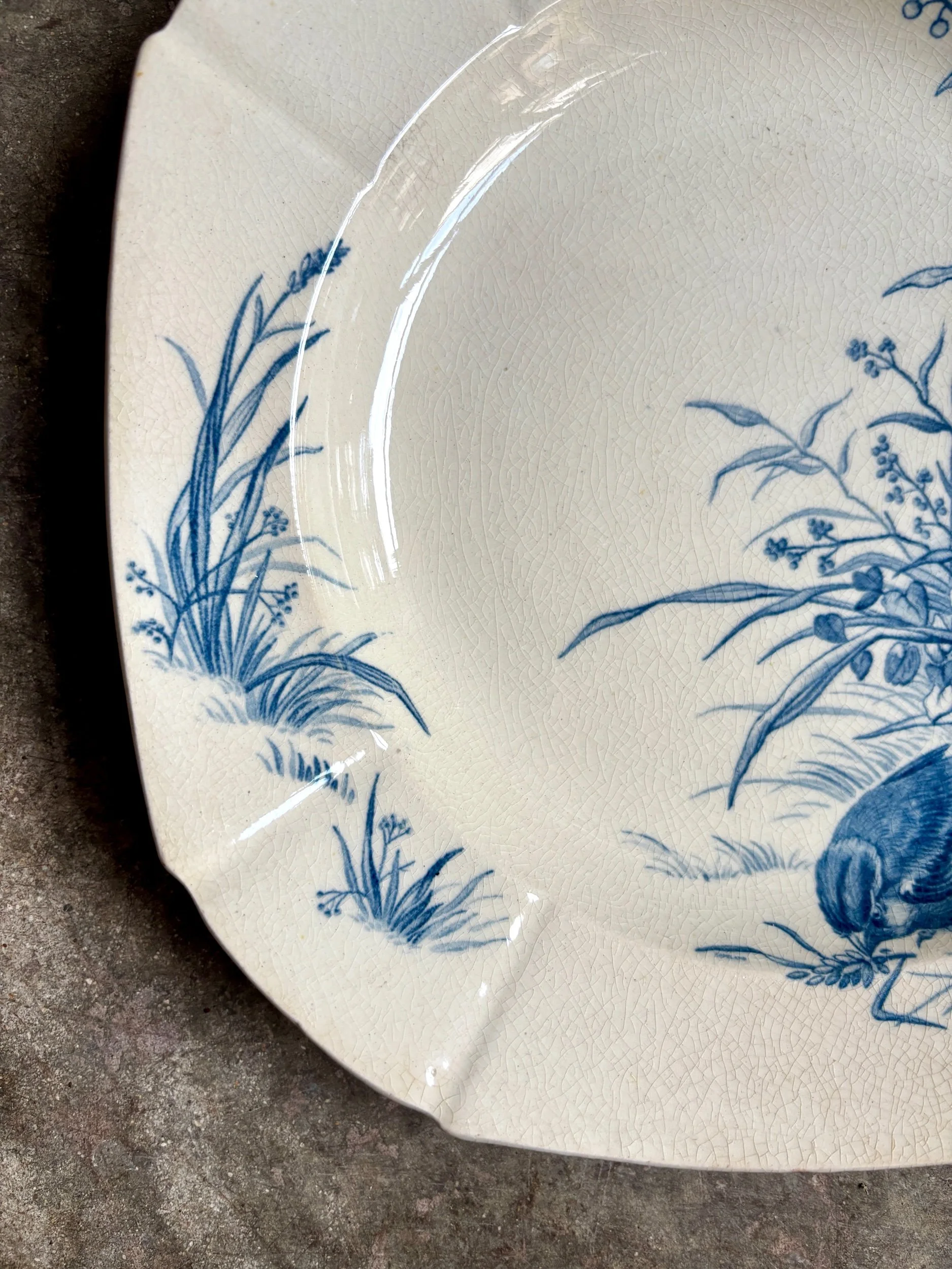 assiette-creuse-gien-oiseaux-terre-fer-bleu-vaisselle-vintage-axs-design-paris-france-2