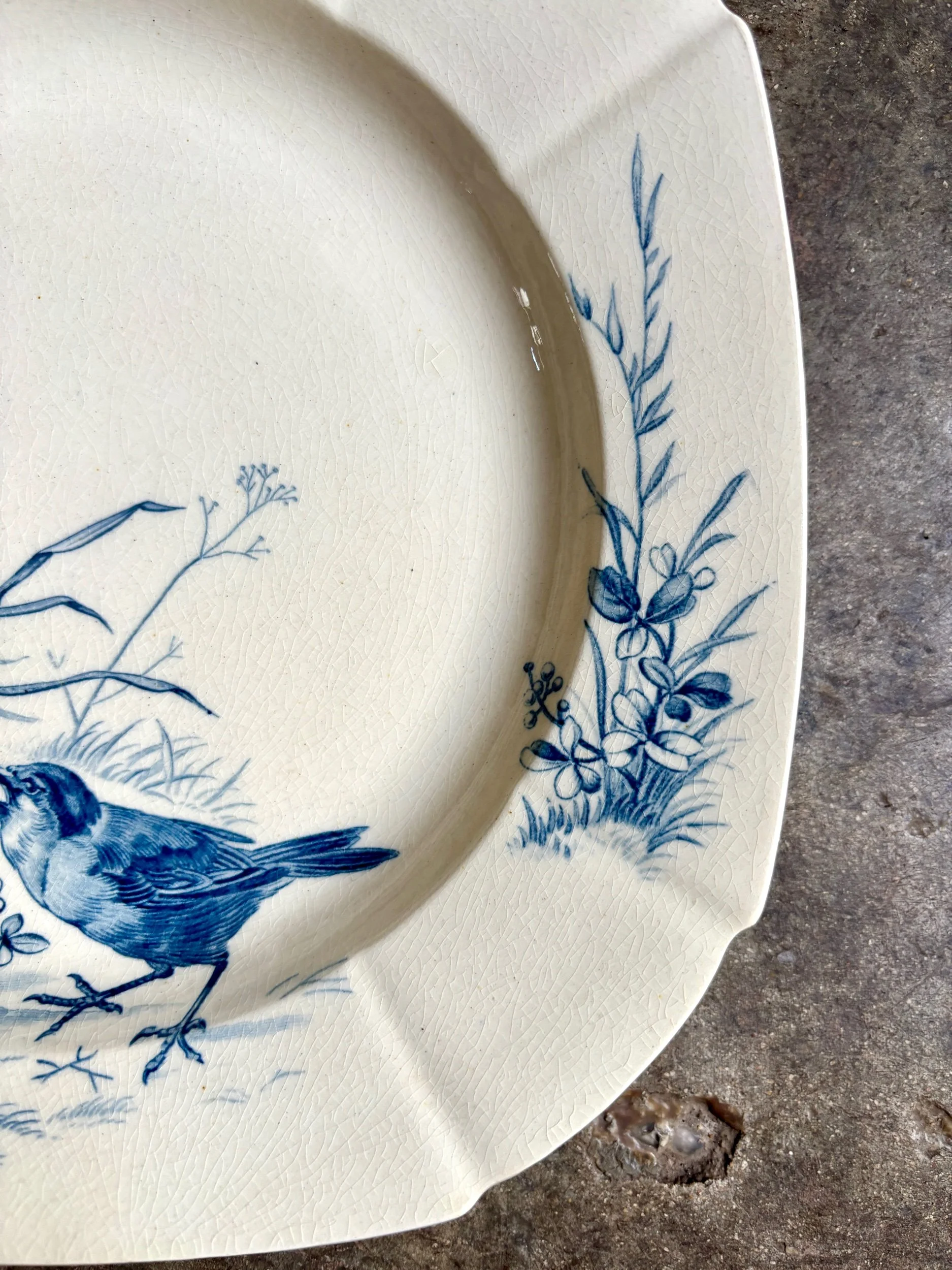 assiette-creuse-gien-oiseaux-terre-fer-bleu-vaisselle-vintage-axs-design-paris-france-6