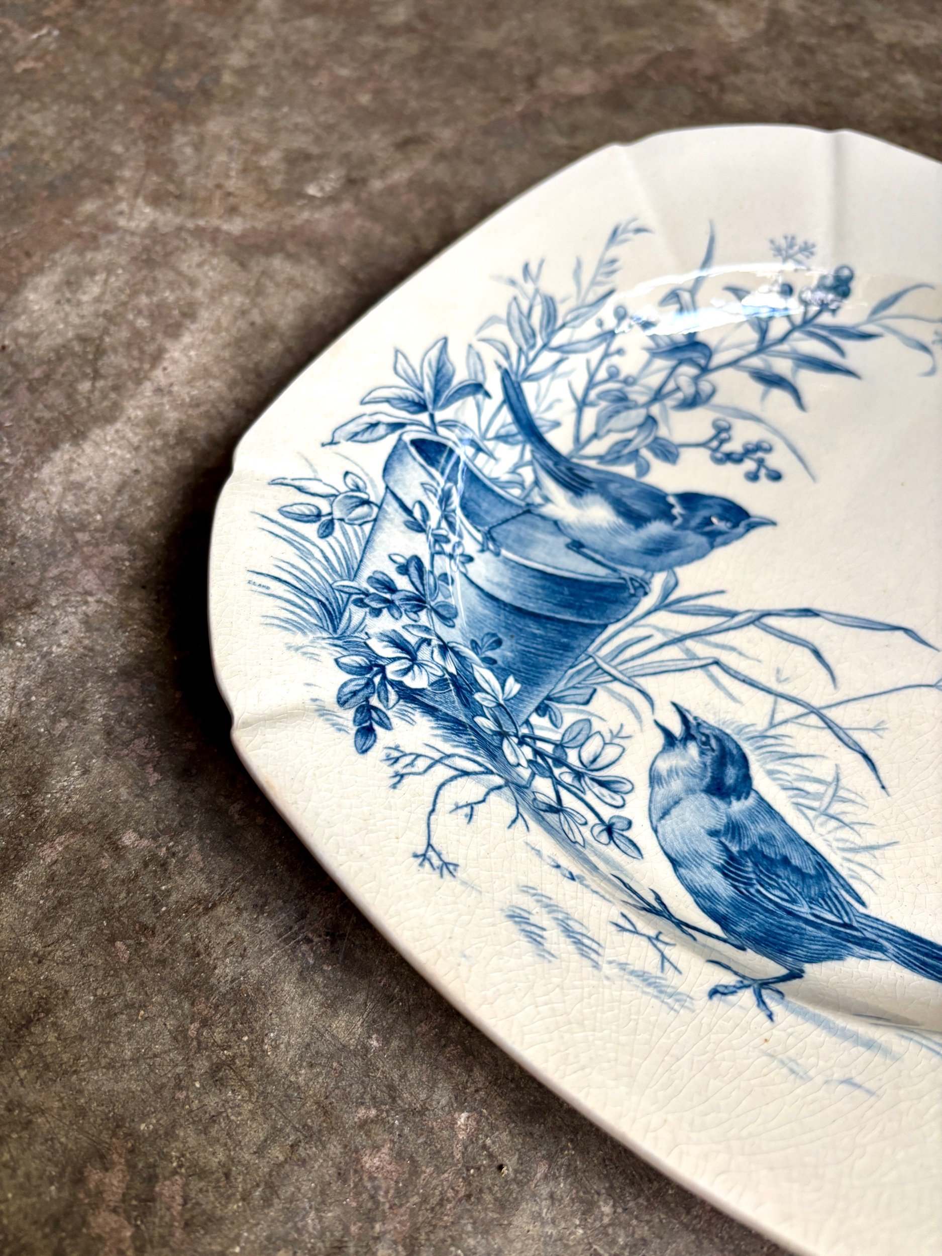 assiette-creuse-gien-oiseaux-terre-fer-bleu-vaisselle-vintage-axs-design-paris-france-6