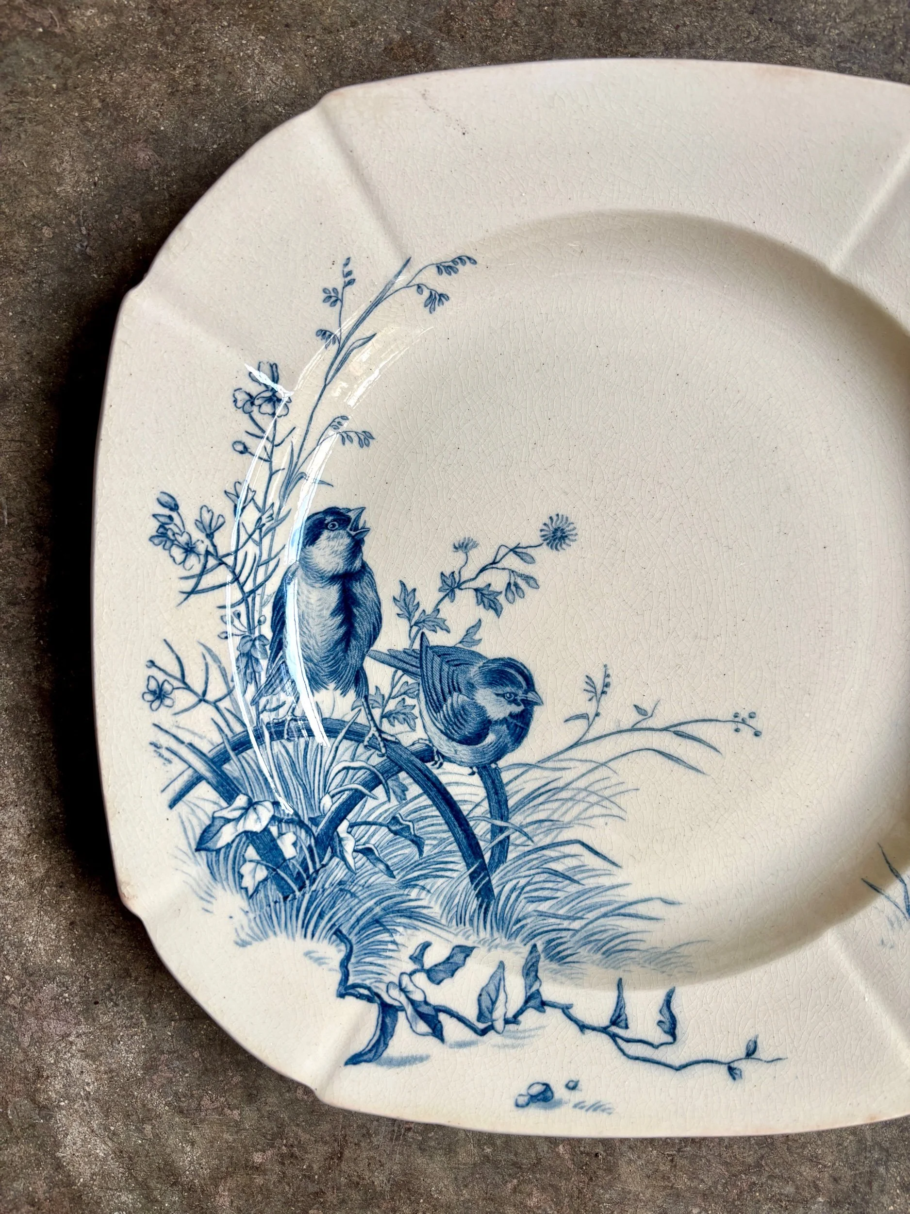 assiette-creuse-gien-oiseaux-terre-fer-bleu-vaisselle-vintage-axs-design-paris-france-4