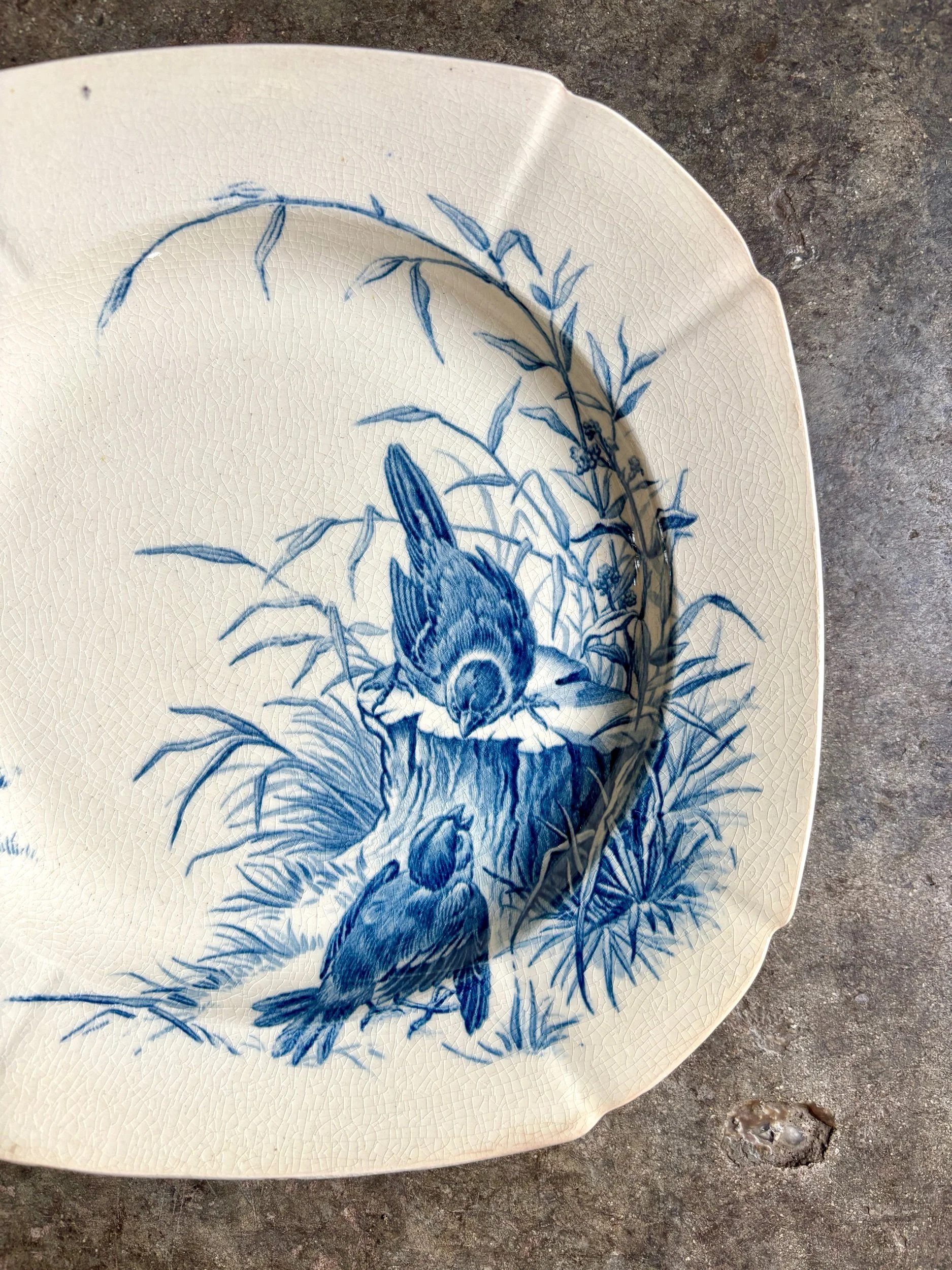 assiette-creuse-gien-oiseaux-terre-fer-bleu-vaisselle-vintage-axs-design-paris-france-5