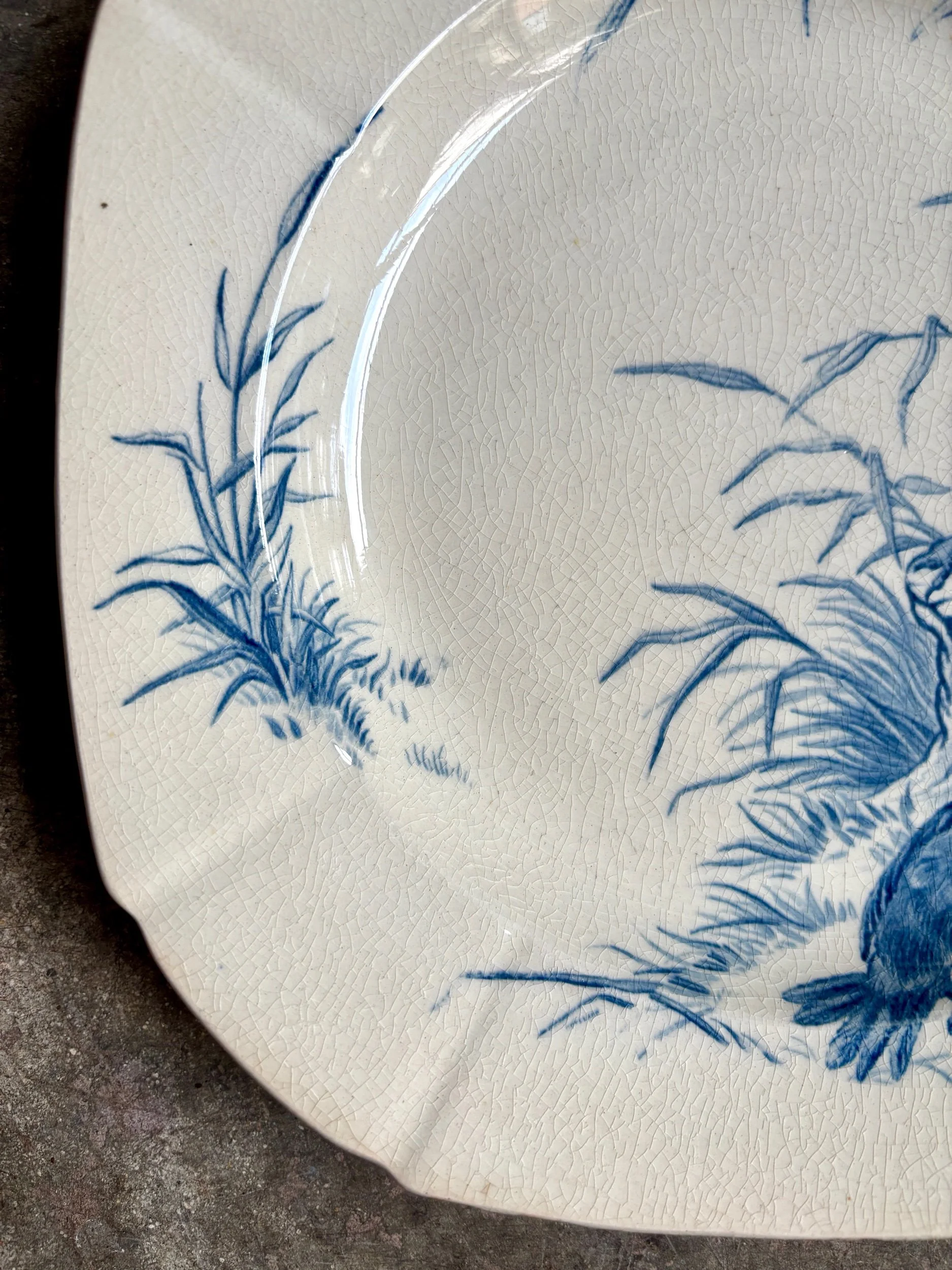 assiette-creuse-gien-oiseaux-terre-fer-bleu-vaisselle-vintage-axs-design-paris-france-5