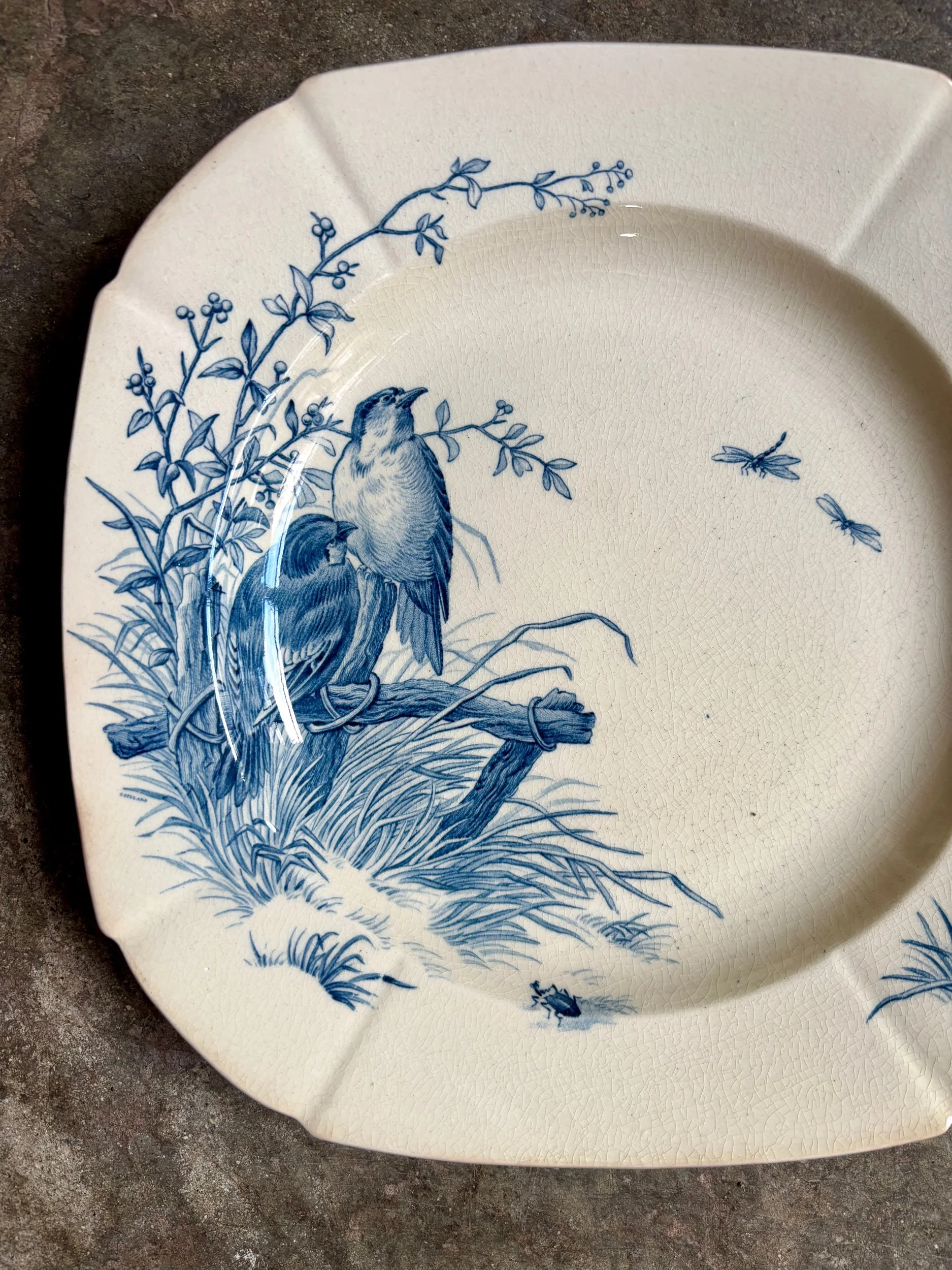 assiette-creuse-gien-oiseaux-terre-fer-bleu-vaisselle-vintage-axs-design-paris-france-3
