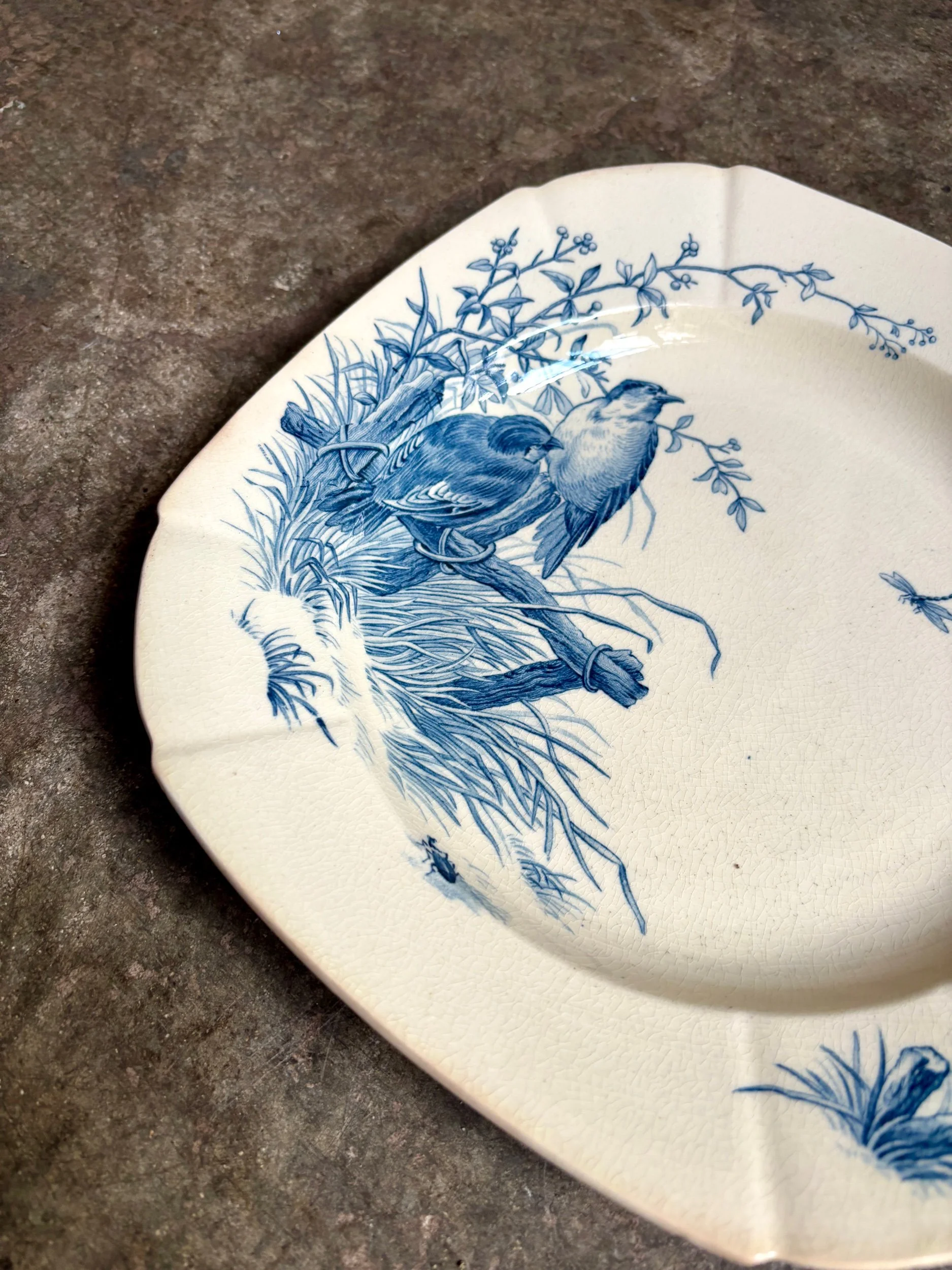 assiette-creuse-gien-oiseaux-terre-fer-bleu-vaisselle-vintage-axs-design-paris-france-3