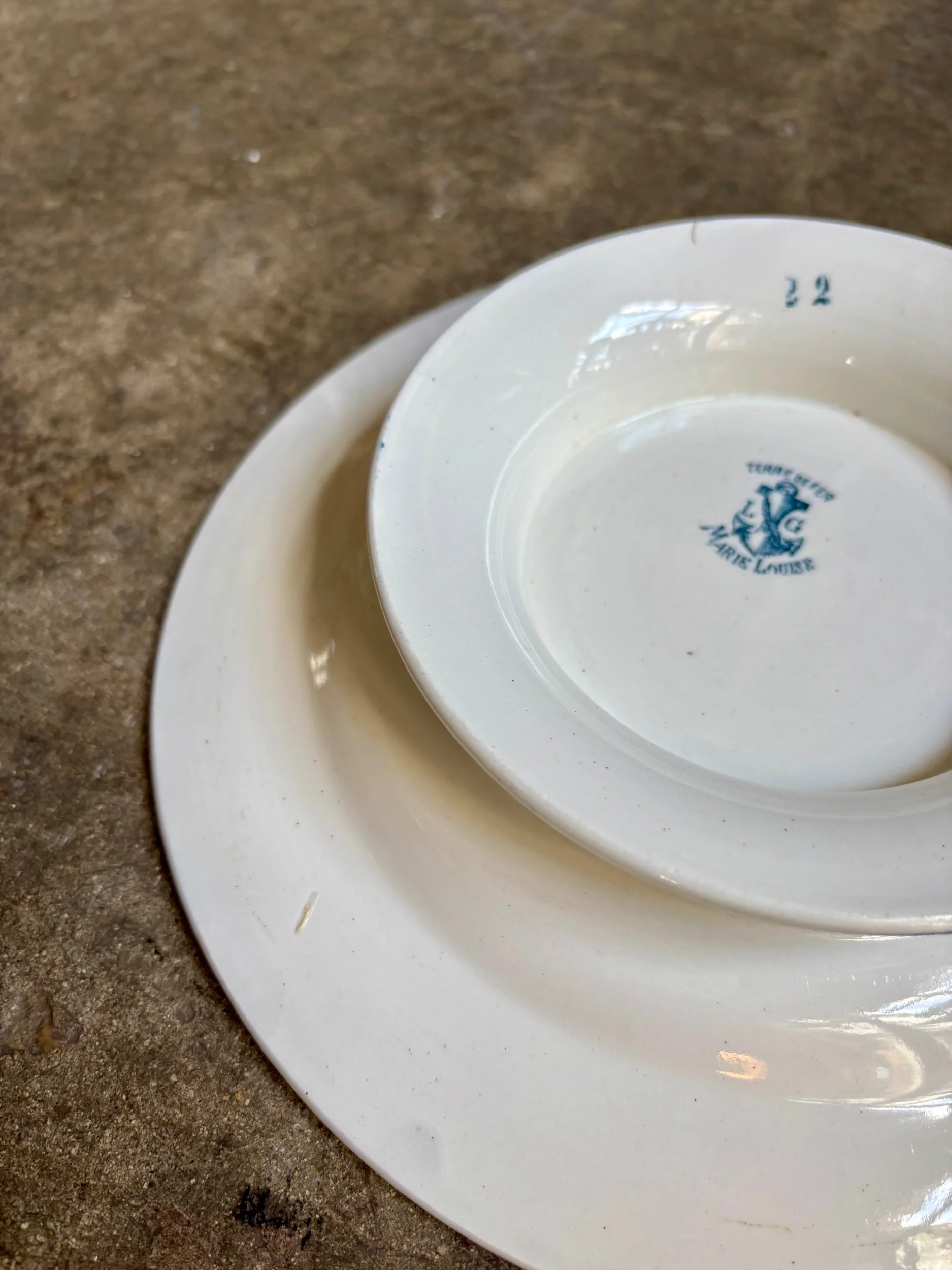 assiette-gateau-leon-graves-marie-louise-terre-fer-bleu-vaisselle-vintage-axs-design-paris-france