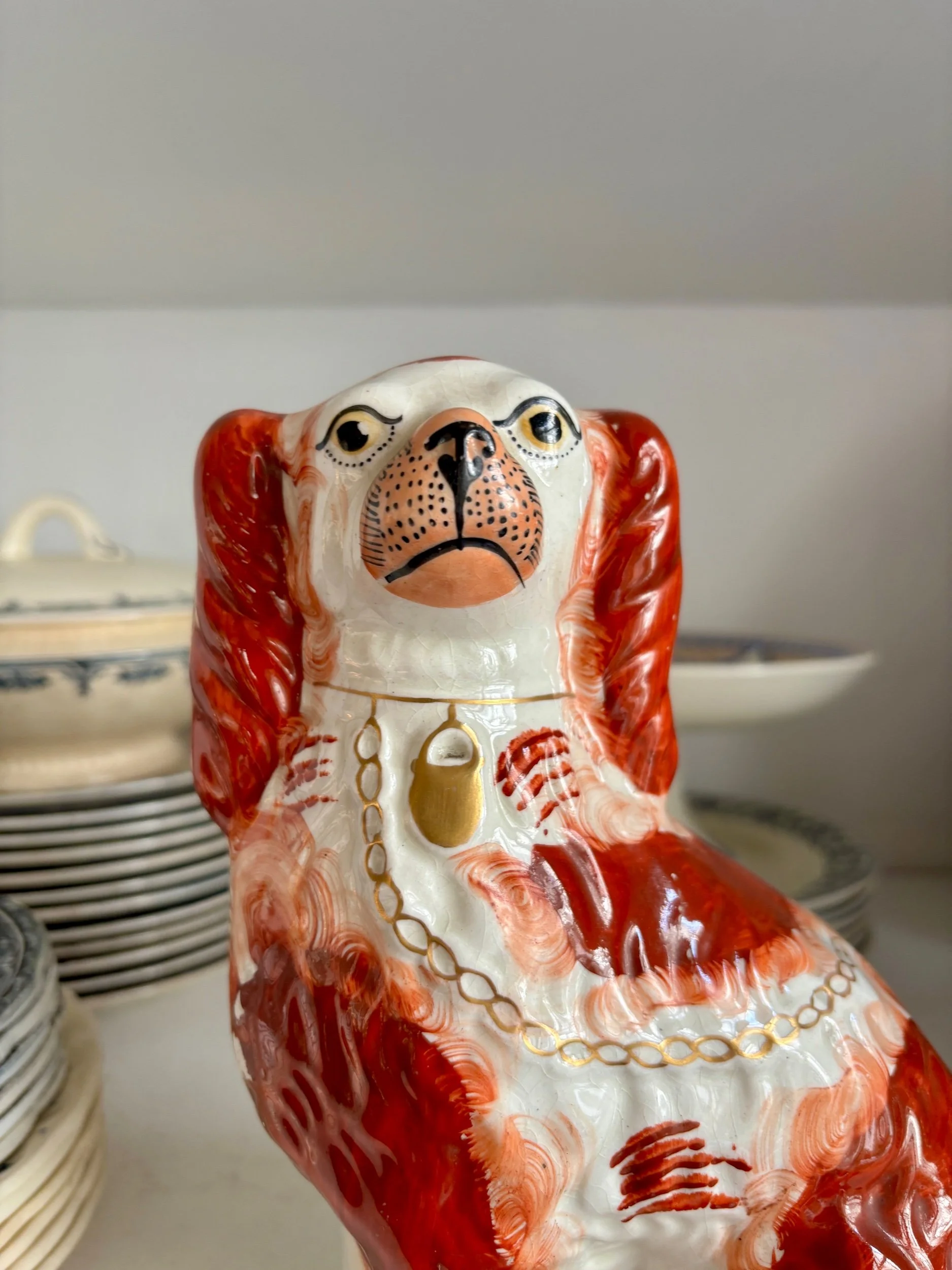 chien-cavalier-king-charles-1-faience-stafforshire-decoration-vintage-axs-design-paris-france