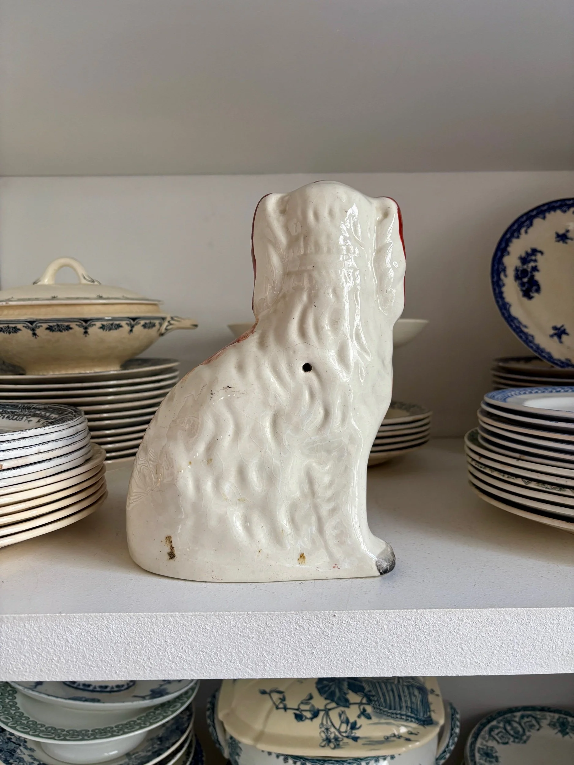 chien-cavalier-king-charles-1-faience-stafforshire-decoration-vintage-axs-design-paris-france