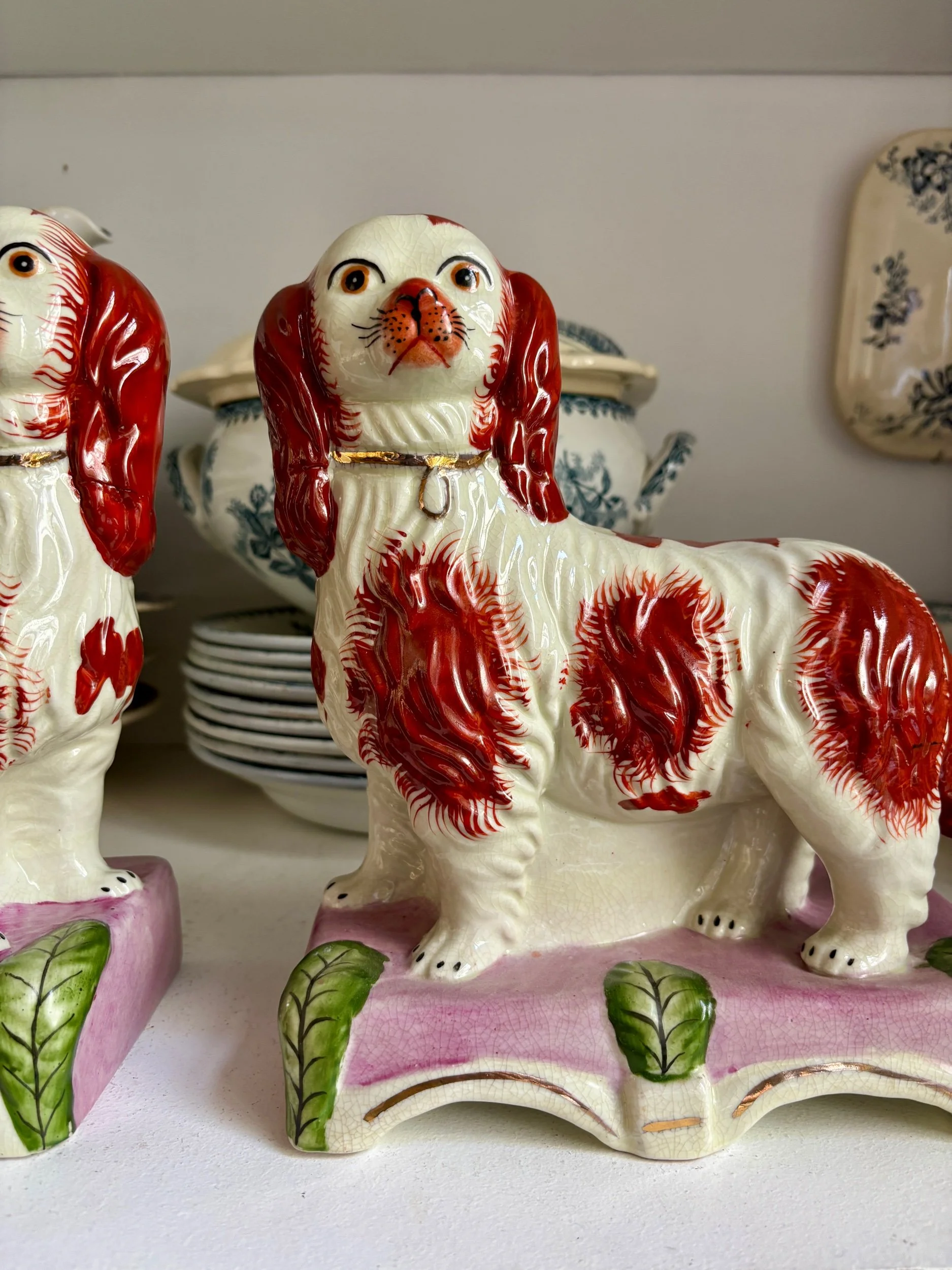 paire-chiens-cavalier-king-charles-faience-staffordshire-decoration-vintage-axs-design-paris-france