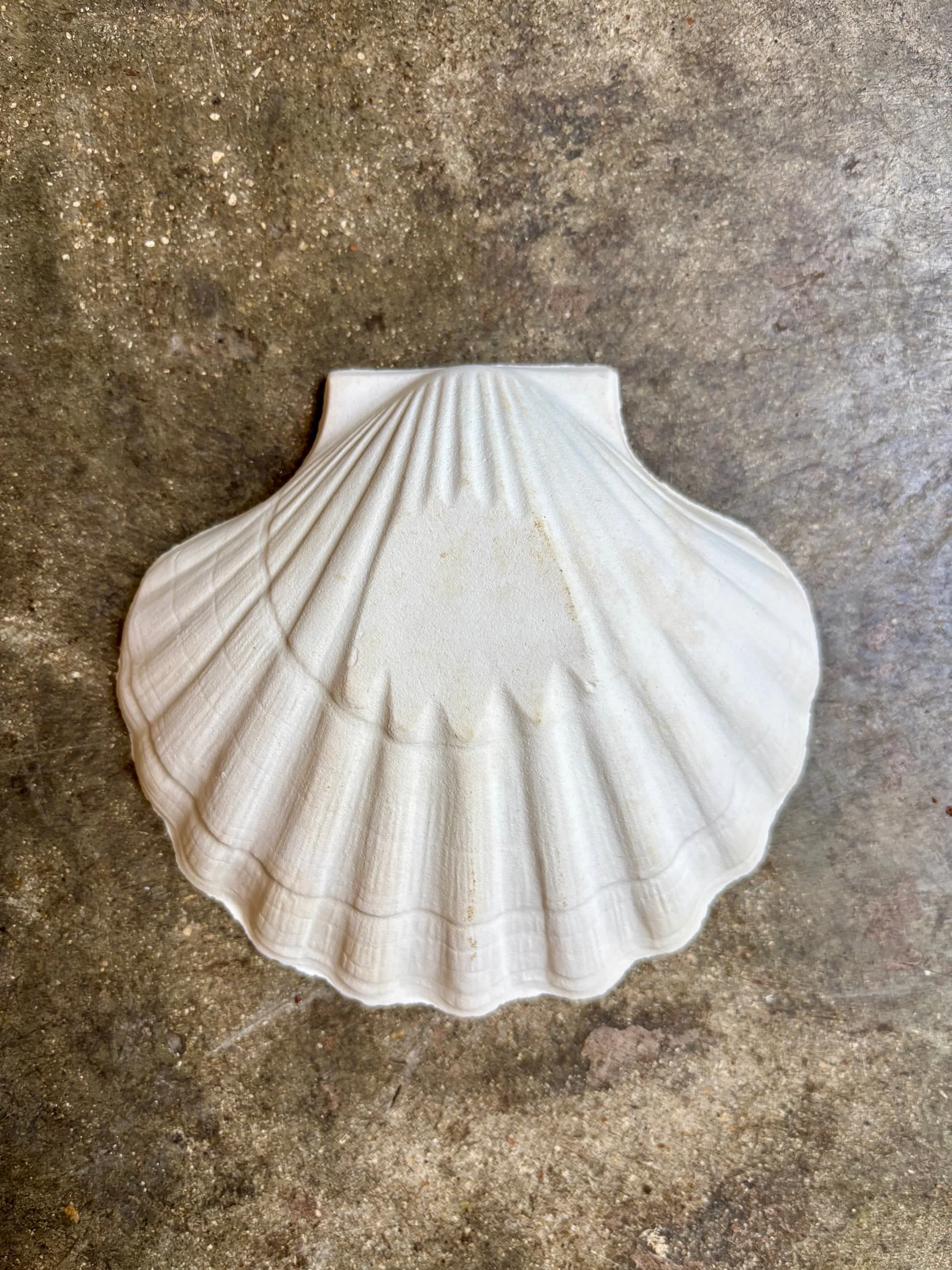 ramequin-coquillage-faience-ceramique-vaisselle-vintage-axs-design-paris-france
