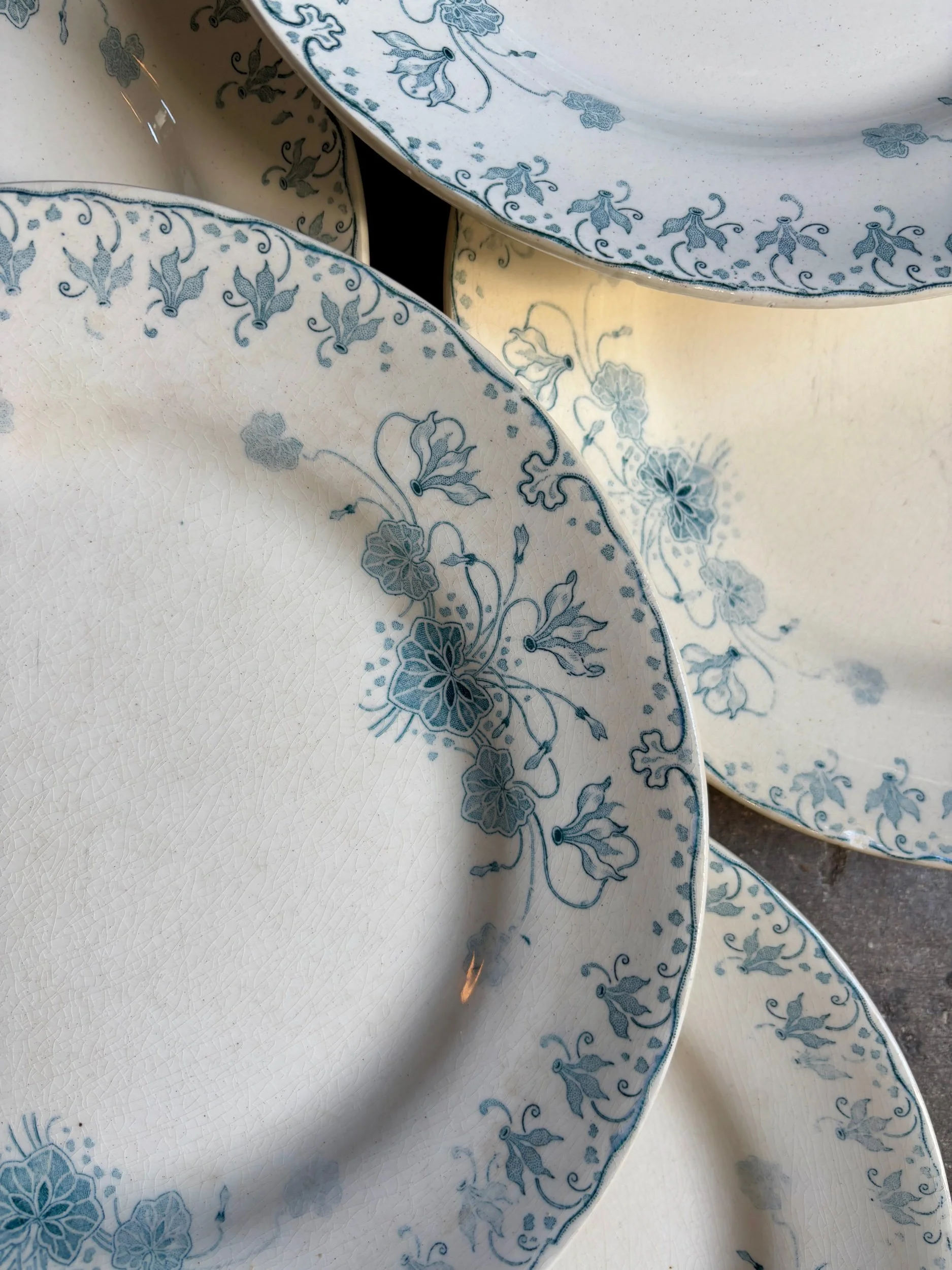 6-assiettes-plates-boulenger-choisy-le-roi-terre-de-fer-cyclamen-vaisselle-vintage-axs-design-paris-france