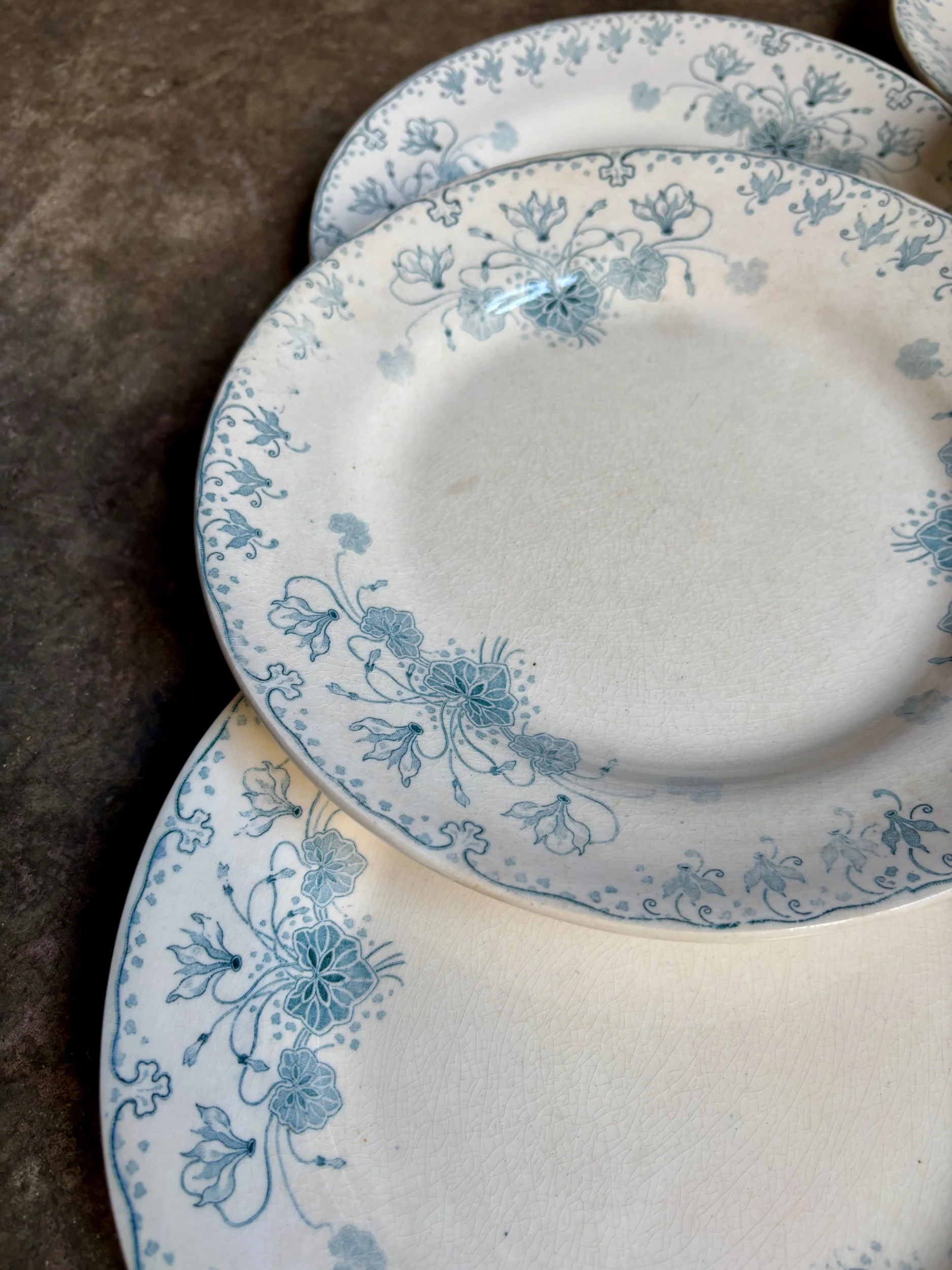 6-assiettes-plates-boulenger-choisy-le-roi-terre-de-fer-cyclamen-vaisselle-vintage-axs-design-paris-france