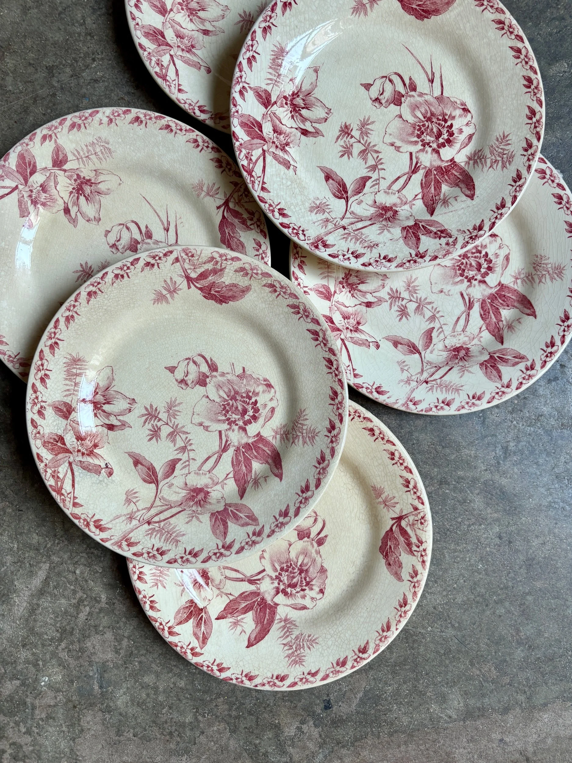6-assiettes-dessert-terre-de-fer-rose-gien-roses-de-noel-vaisselle-vintage-axs-design-paris-france