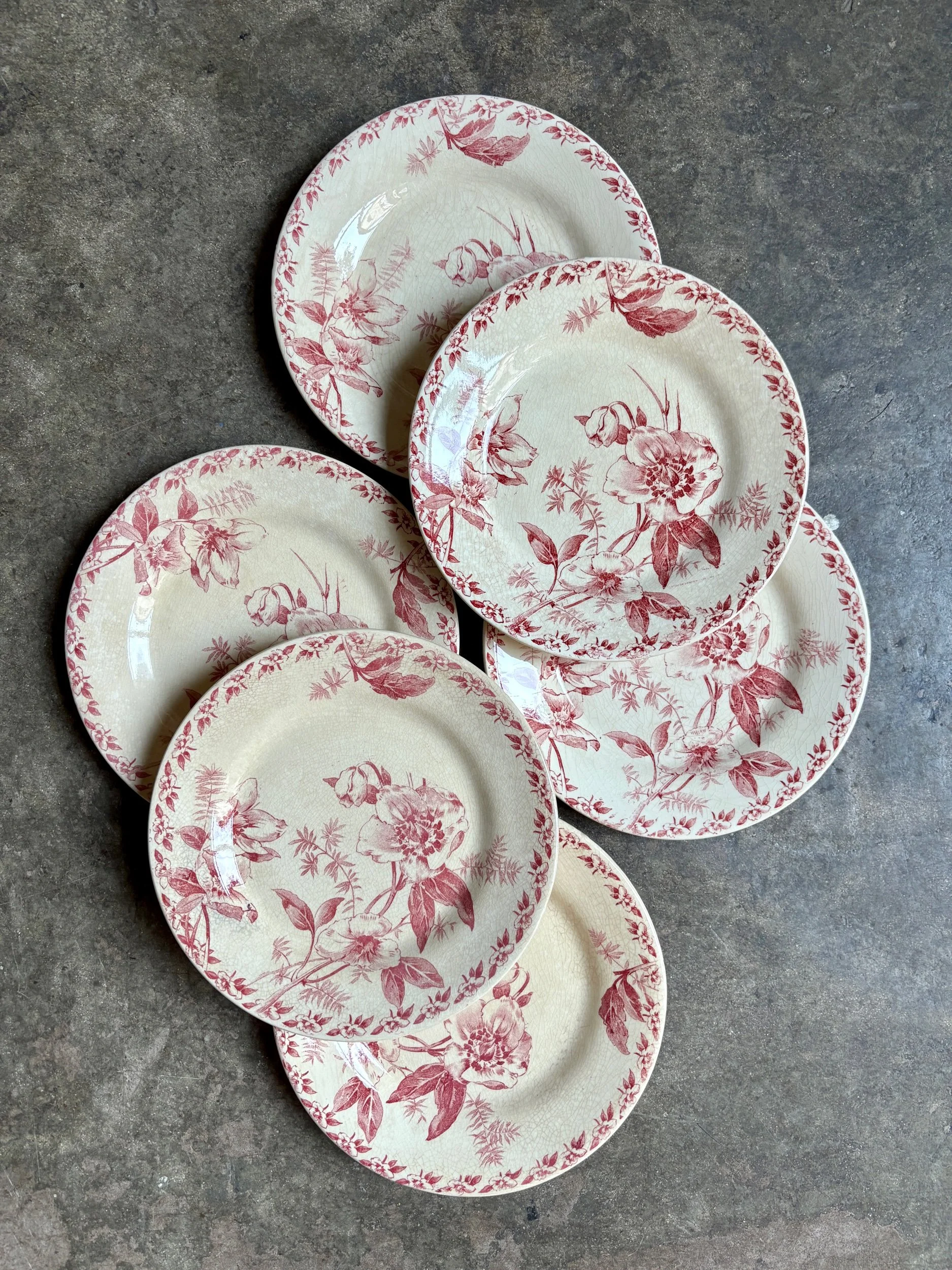 6-assiettes-dessert-terre-de-fer-rose-gien-roses-de-noel-vaisselle-vintage-axs-design-paris-france