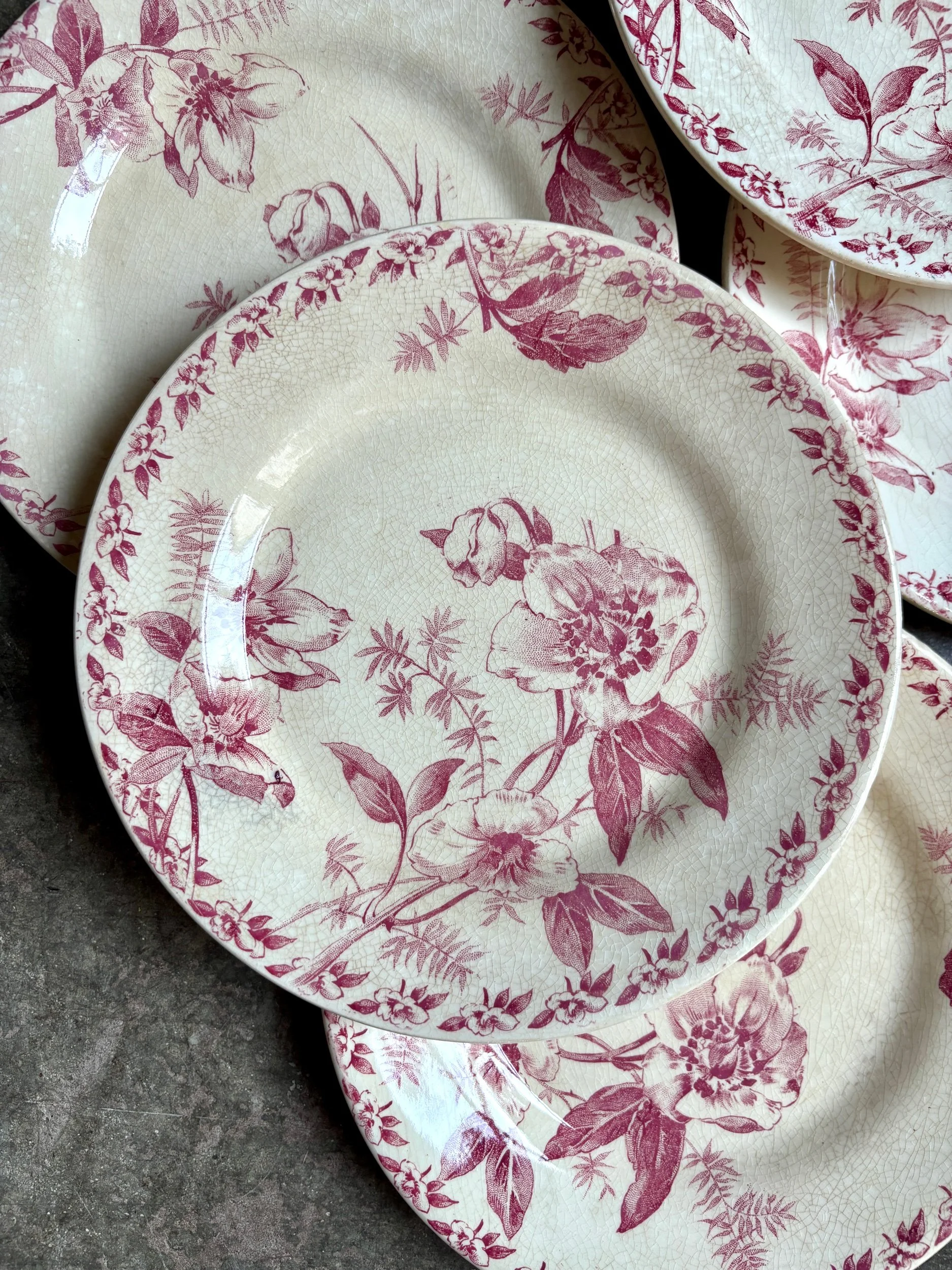 6-assiettes-dessert-terre-de-fer-rose-gien-roses-de-noel-vaisselle-vintage-axs-design-paris-france