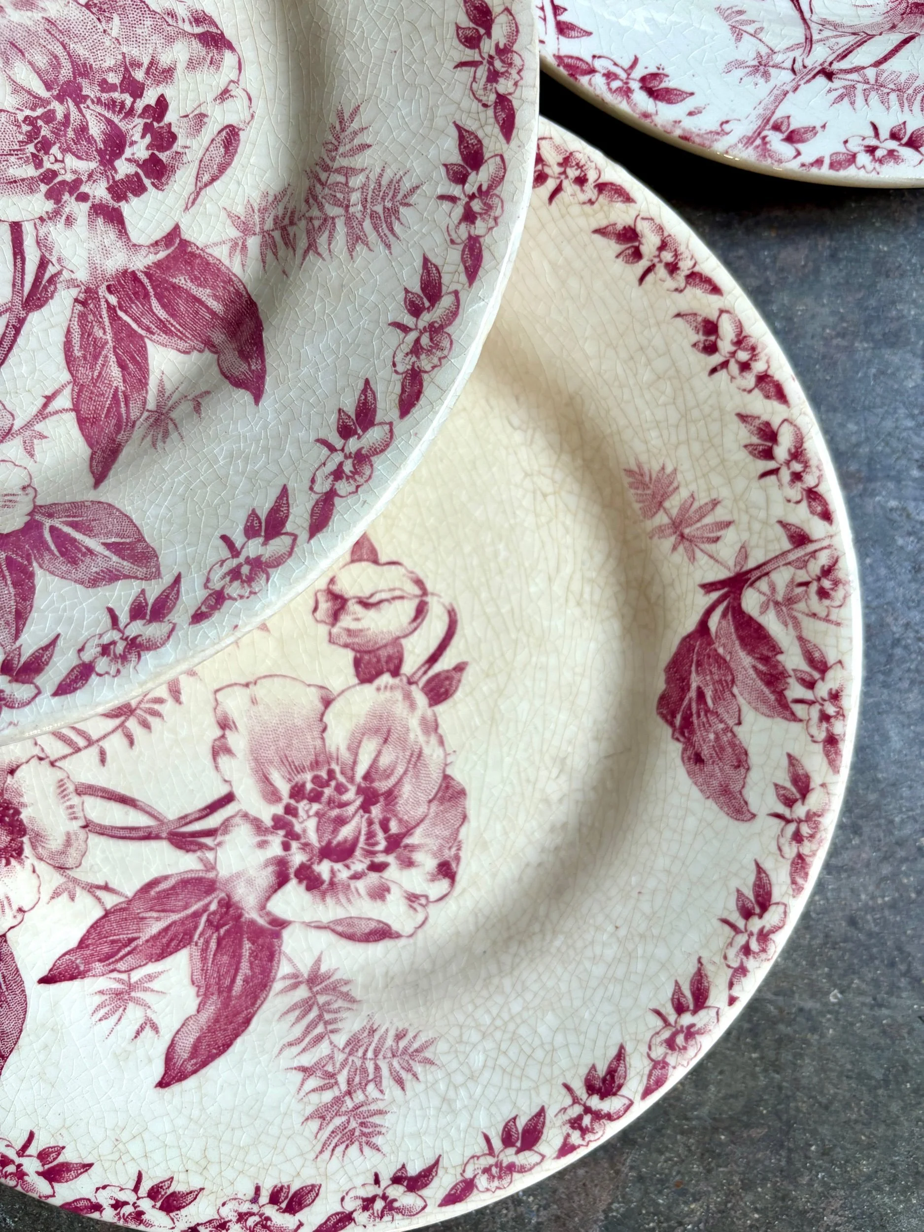 6-assiettes-dessert-terre-de-fer-rose-gien-roses-de-noel-vaisselle-vintage-axs-design-paris-france