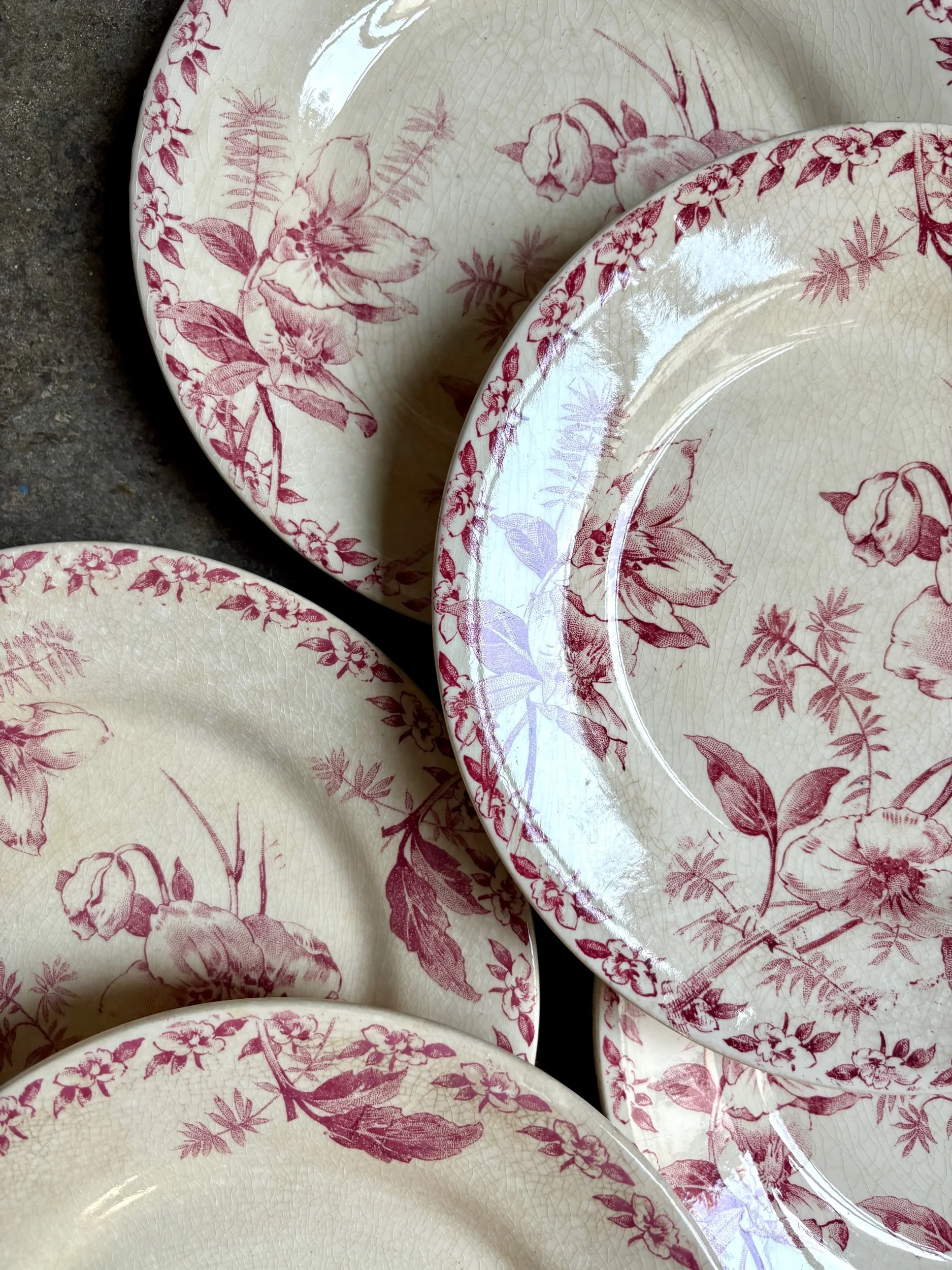 6-assiettes-dessert-terre-de-fer-rose-gien-roses-de-noel-vaisselle-vintage-axs-design-paris-france