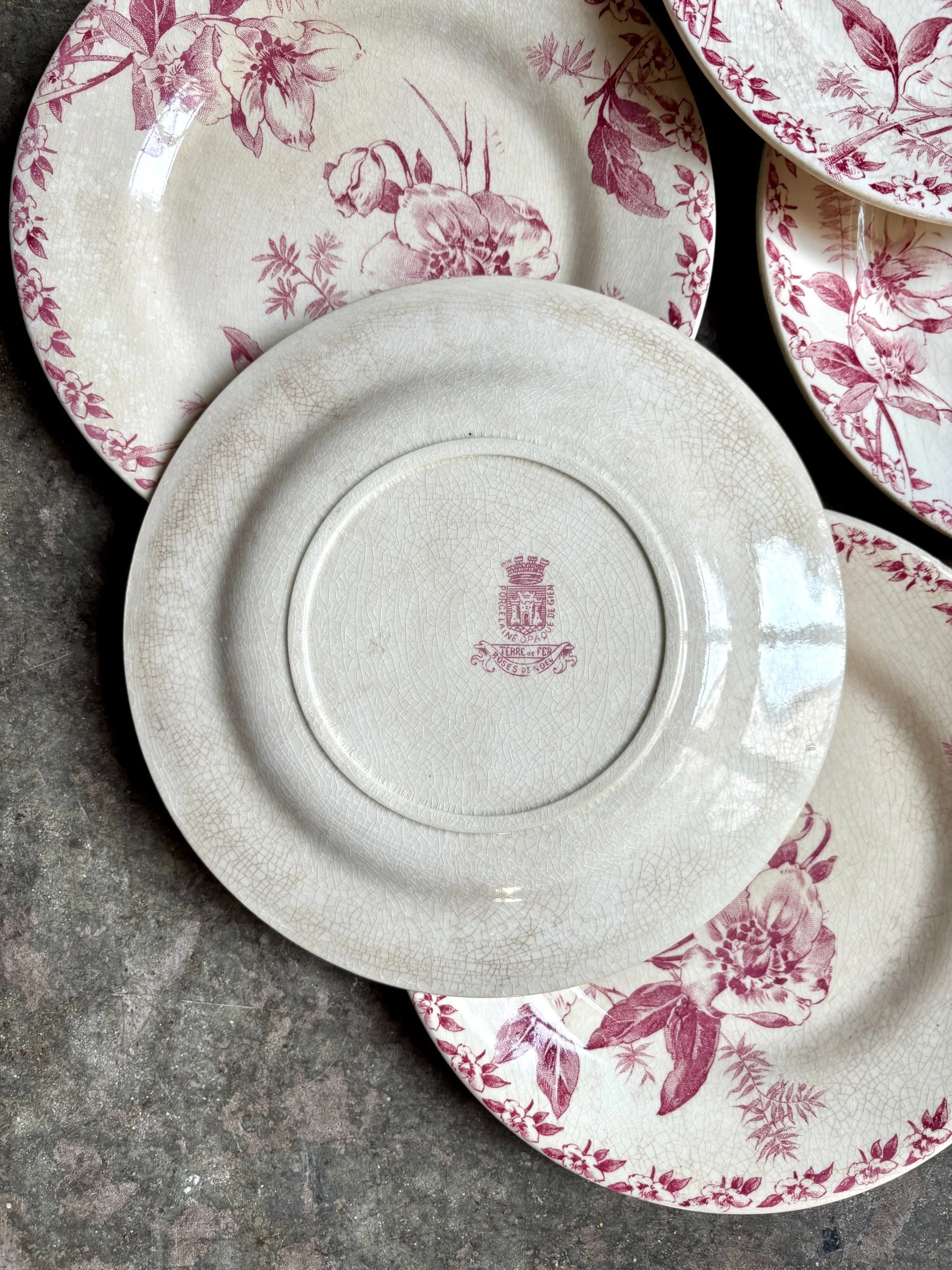 6-assiettes-dessert-terre-de-fer-rose-gien-roses-de-noel-vaisselle-vintage-axs-design-paris-france
