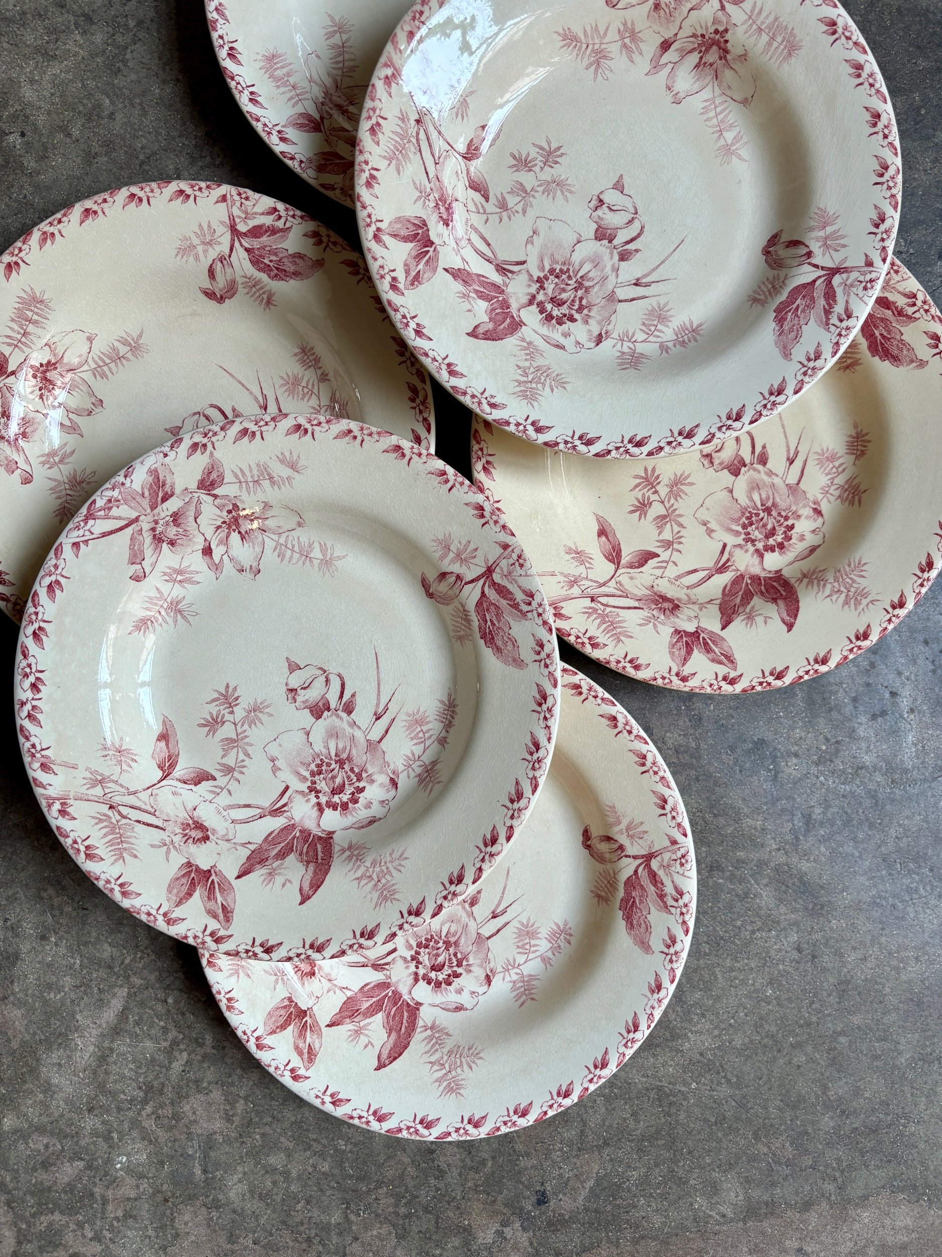 6-assiettes-creuses-terre-de-fer-rose-gien-roses-de-noel-vaisselle-vintage-axs-design-paris-france