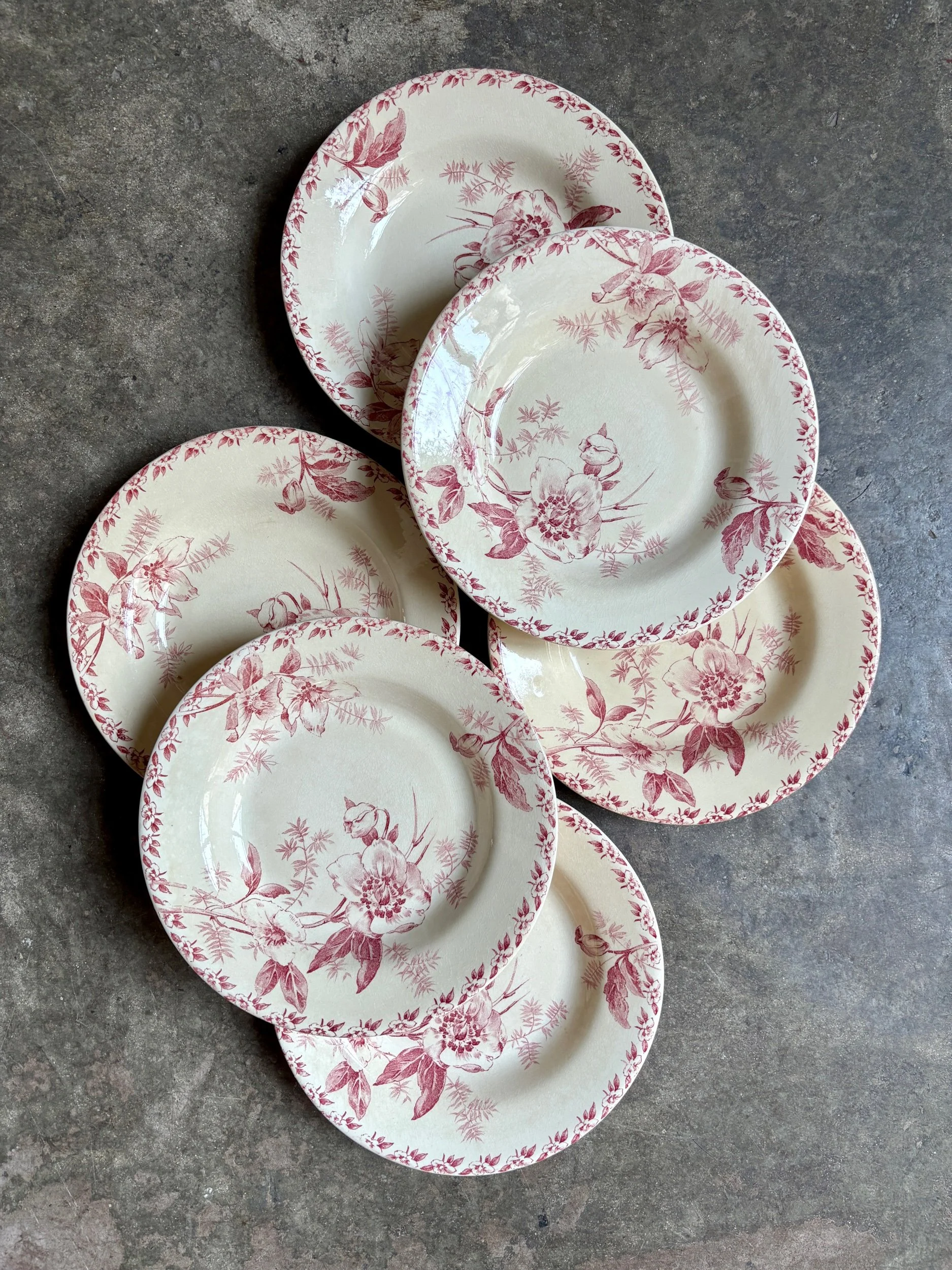 6-assiettes-creuses-terre-de-fer-rose-gien-roses-de-noel-vaisselle-vintage-axs-design-paris-france