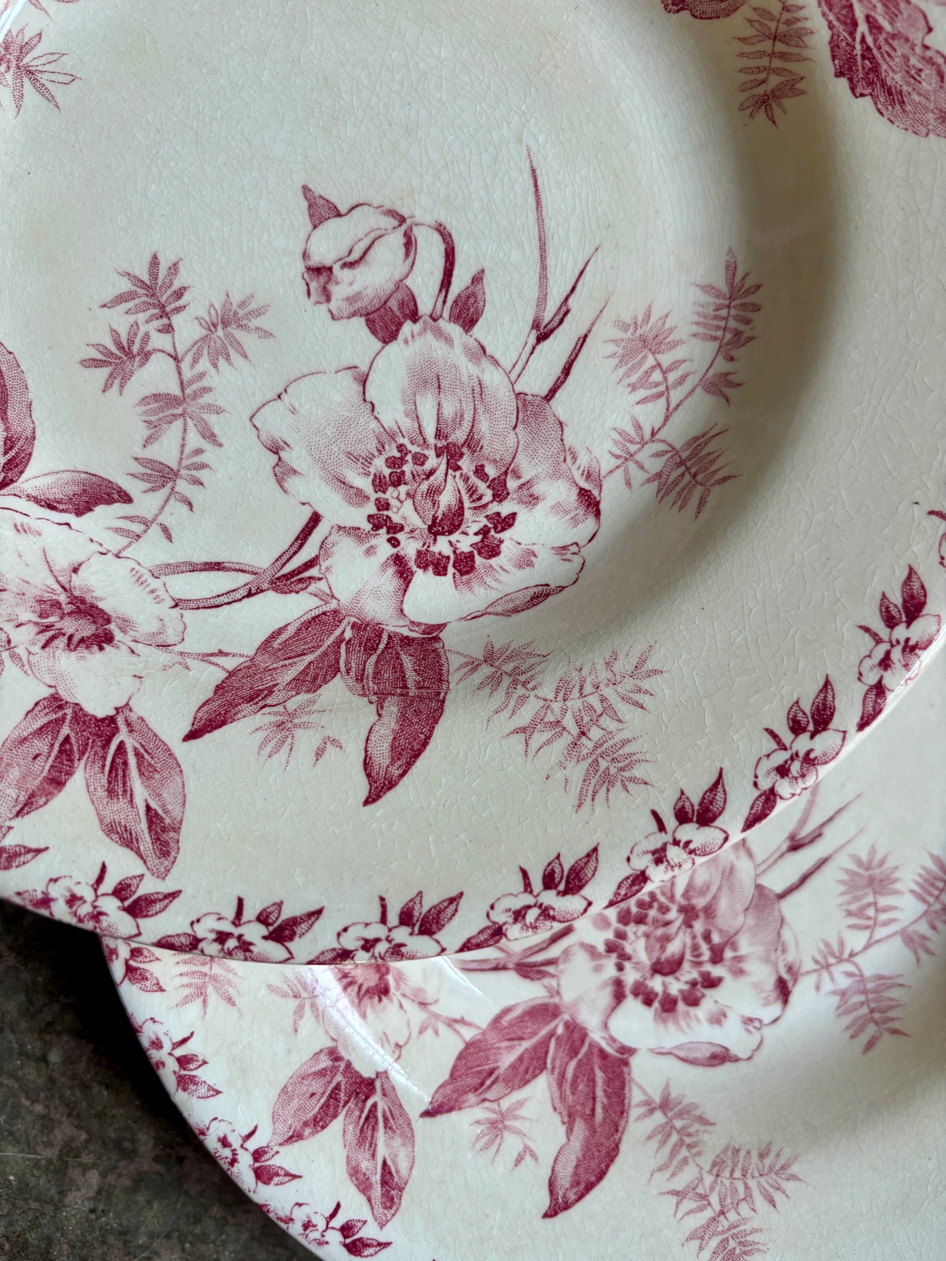 6-assiettes-creuses-terre-de-fer-rose-gien-roses-de-noel-vaisselle-vintage-axs-design-paris-france