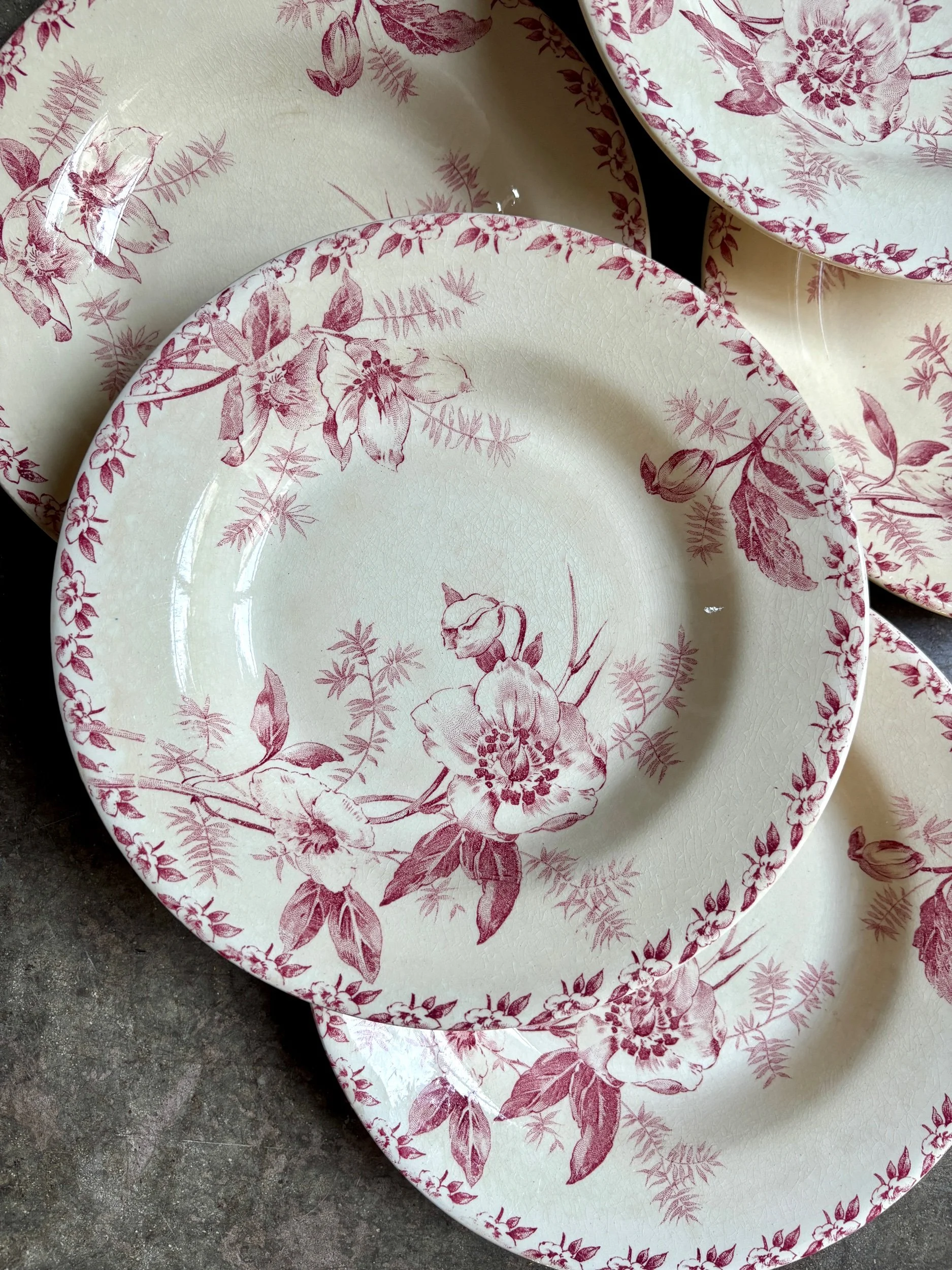 6 assiettes creuses Gien en terre de fer rose, service "Roses de Noël"