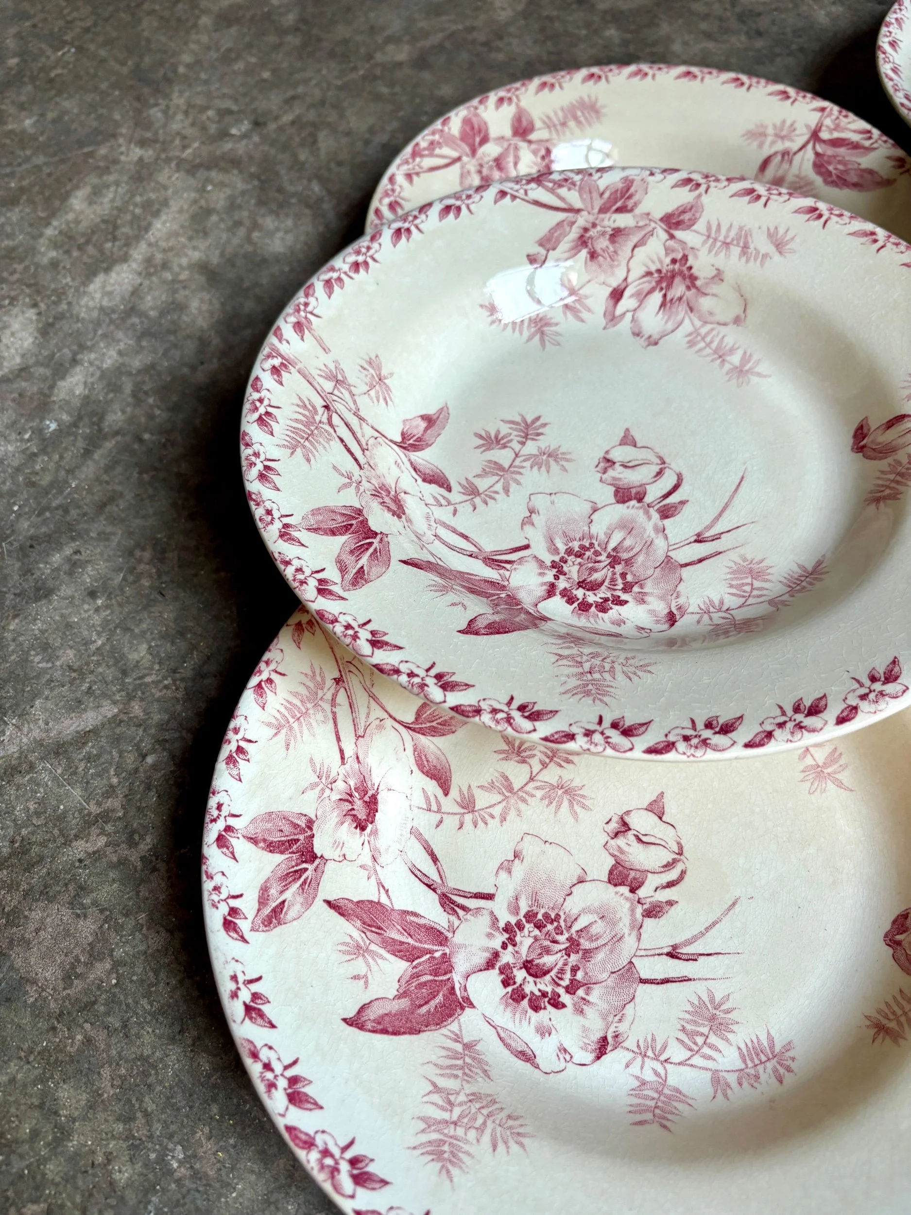 6-assiettes-creuses-terre-de-fer-rose-gien-roses-de-noel-vaisselle-vintage-axs-design-paris-france
