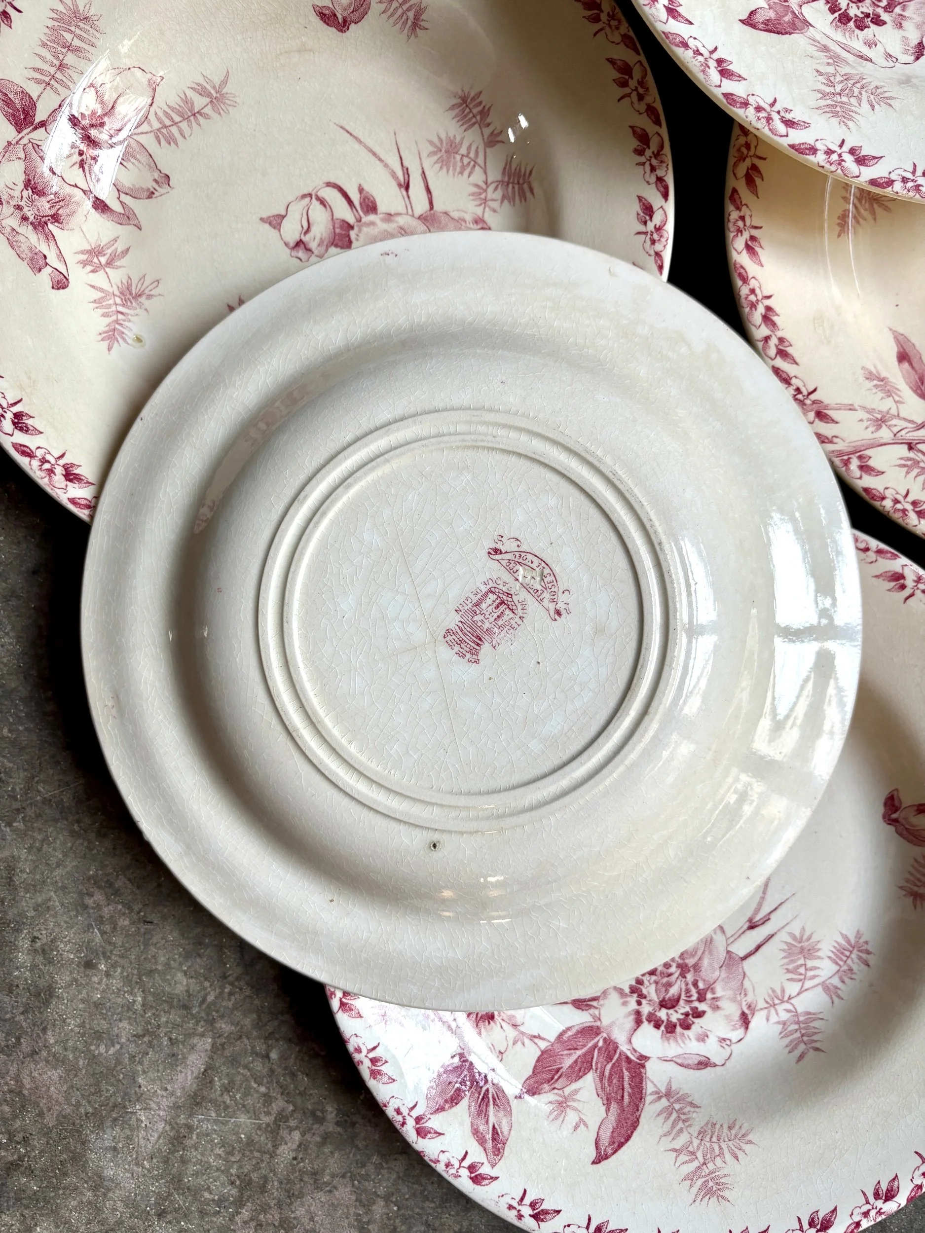 6-assiettes-creuses-terre-de-fer-rose-gien-roses-de-noel-vaisselle-vintage-axs-design-paris-france