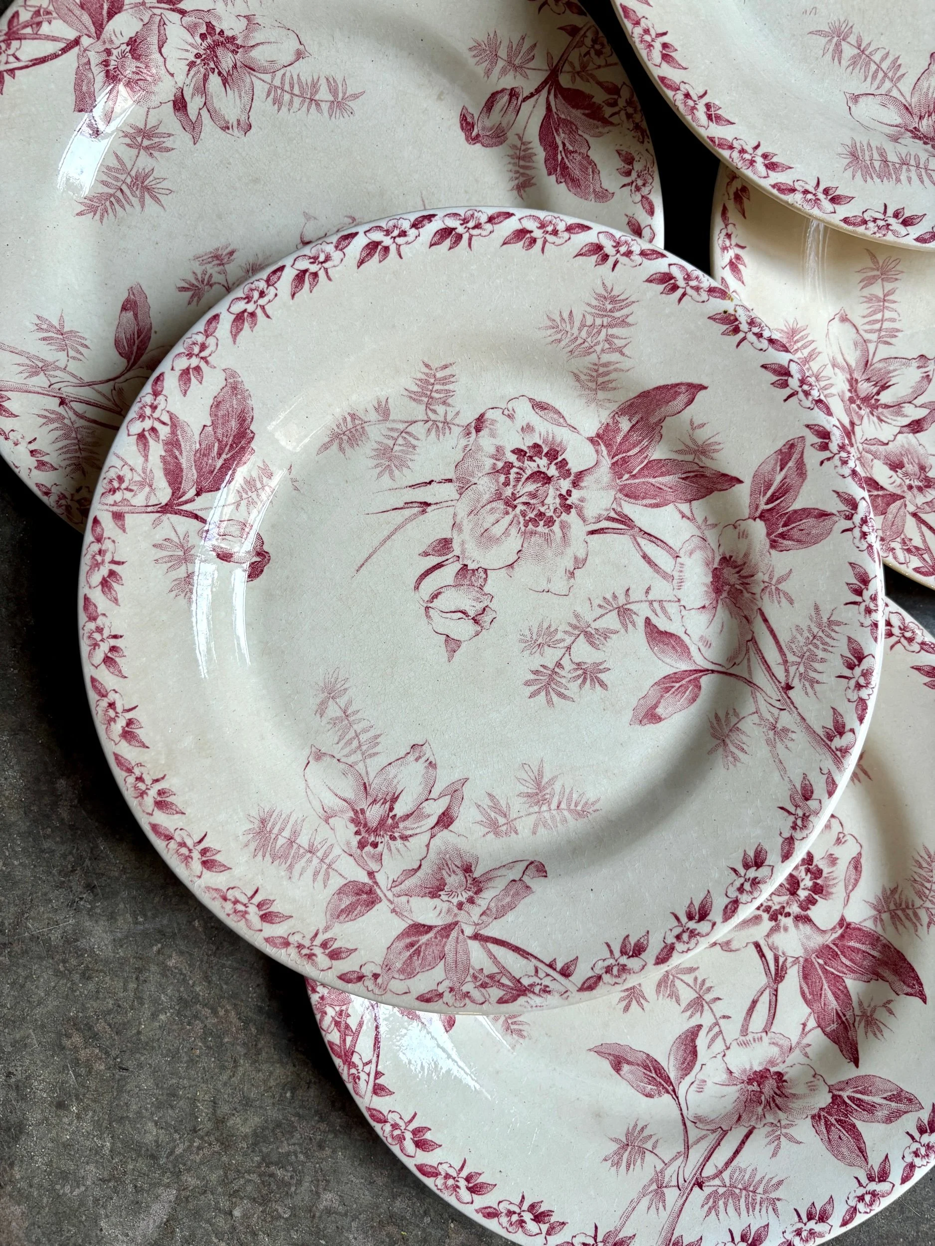 6-assiettes-plates-terre-de-fer-rose-gien-roses-de-noel-vaisselle-vintage-axs-design-paris-france