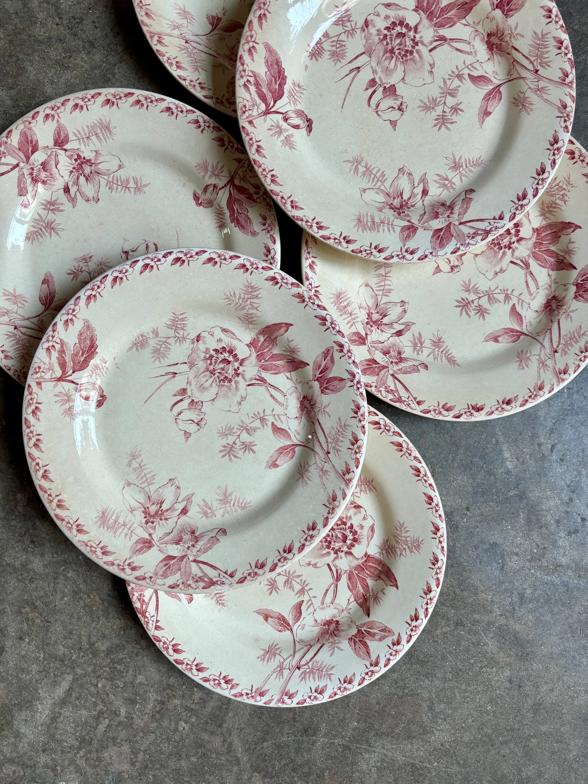 6-assiettes-plates-terre-de-fer-rose-gien-roses-de-noel-vaisselle-vintage-axs-design-paris-france