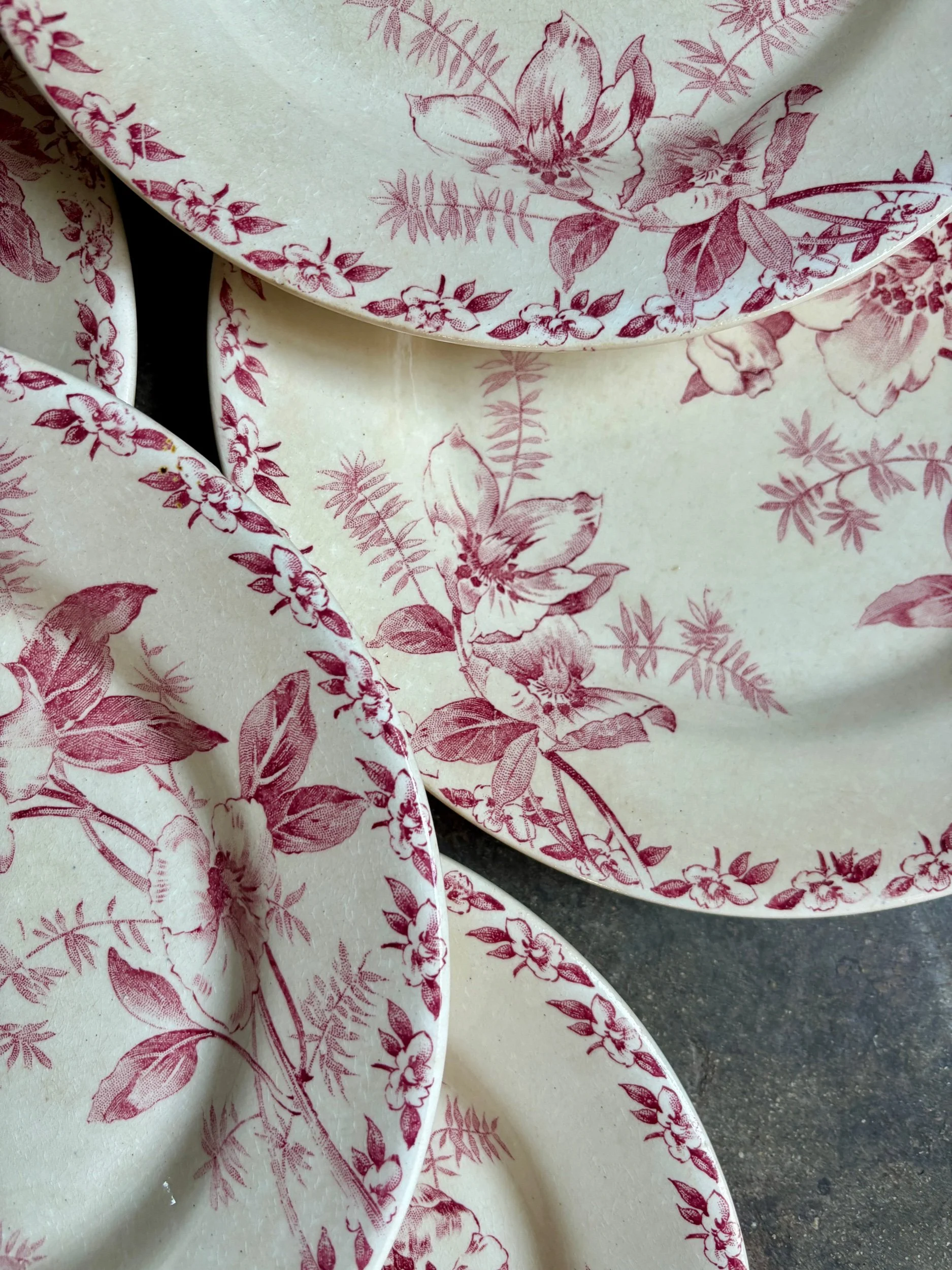 6-assiettes-plates-terre-de-fer-rose-gien-roses-de-noel-vaisselle-vintage-axs-design-paris-france