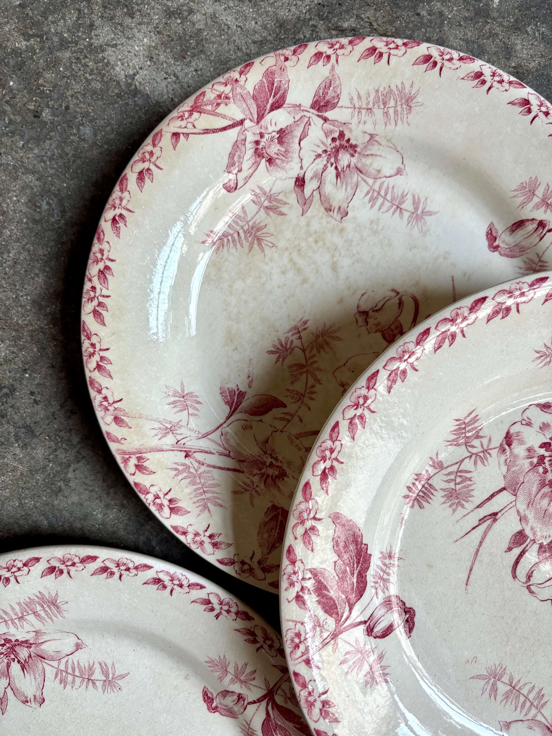 6-assiettes-plates-terre-de-fer-rose-gien-roses-de-noel-vaisselle-vintage-axs-design-paris-france
