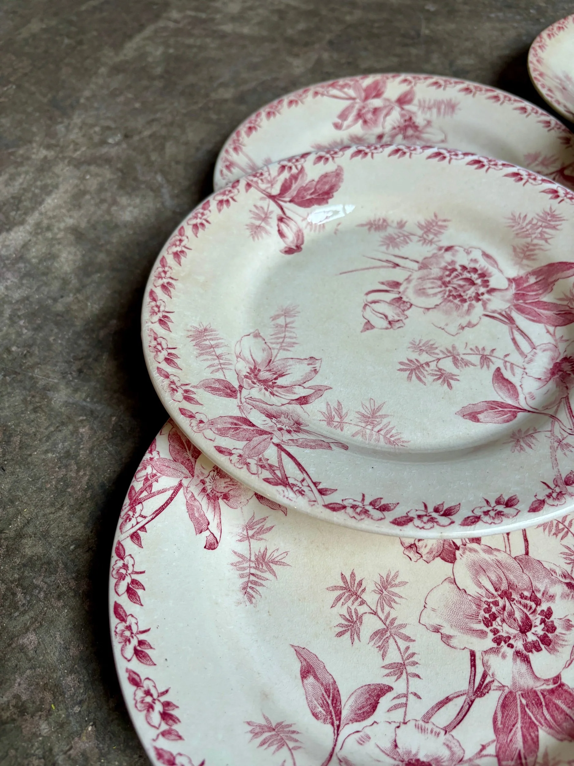 6-assiettes-plates-terre-de-fer-rose-gien-roses-de-noel-vaisselle-vintage-axs-design-paris-france