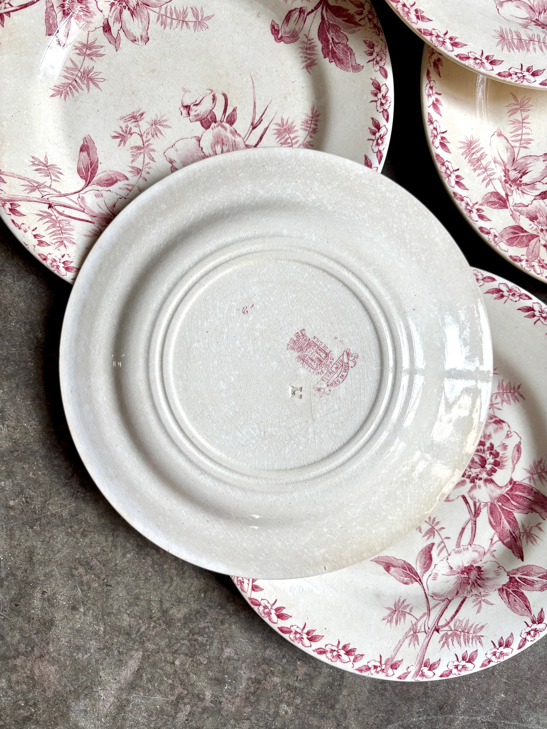 6-assiettes-plates-terre-de-fer-rose-gien-roses-de-noel-vaisselle-vintage-axs-design-paris-france