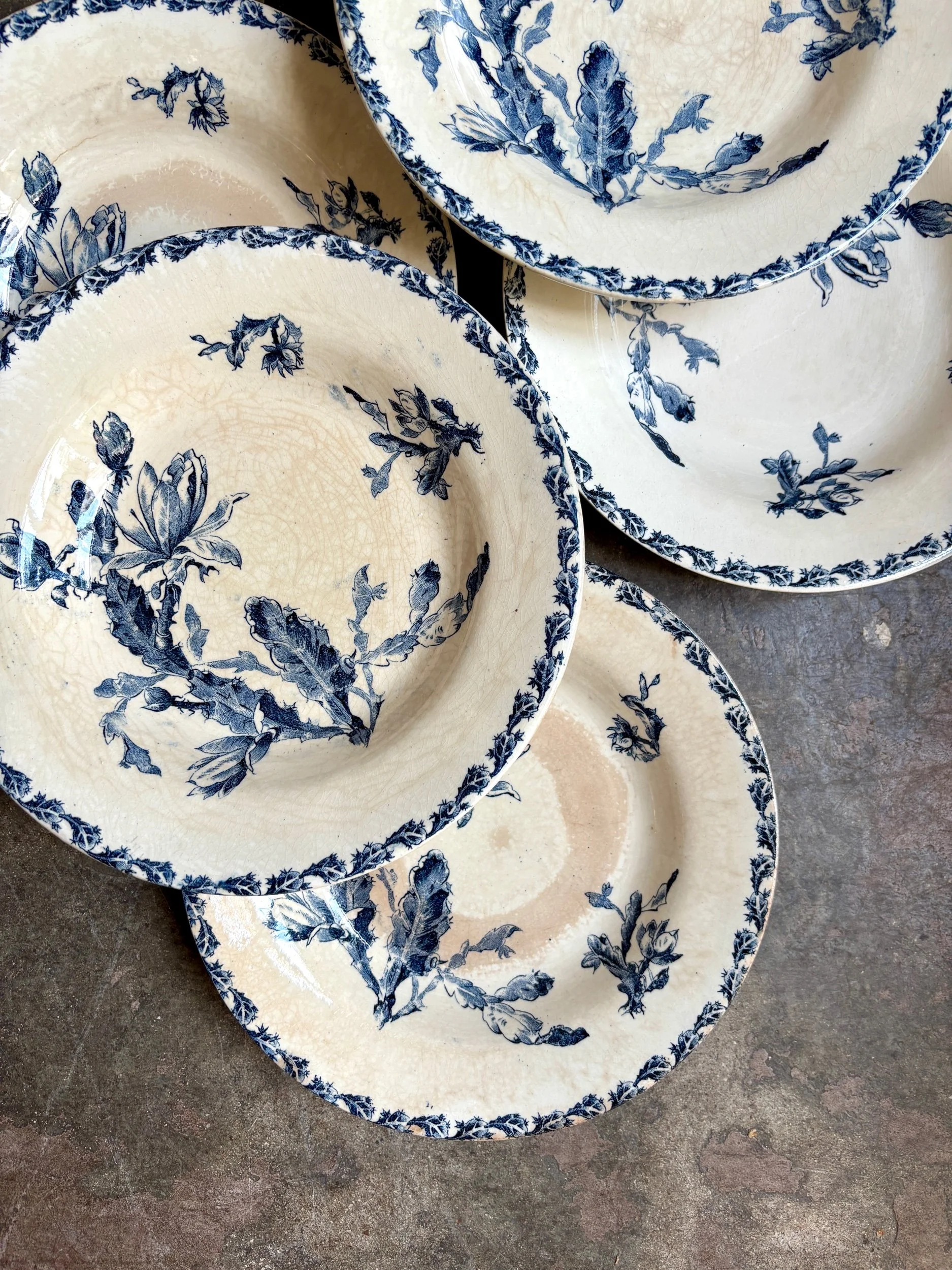 assiettes-creuses-gien-cactus-bleu-blanc-terre-fer-vaisselle-vintage-axs-design-paris-france