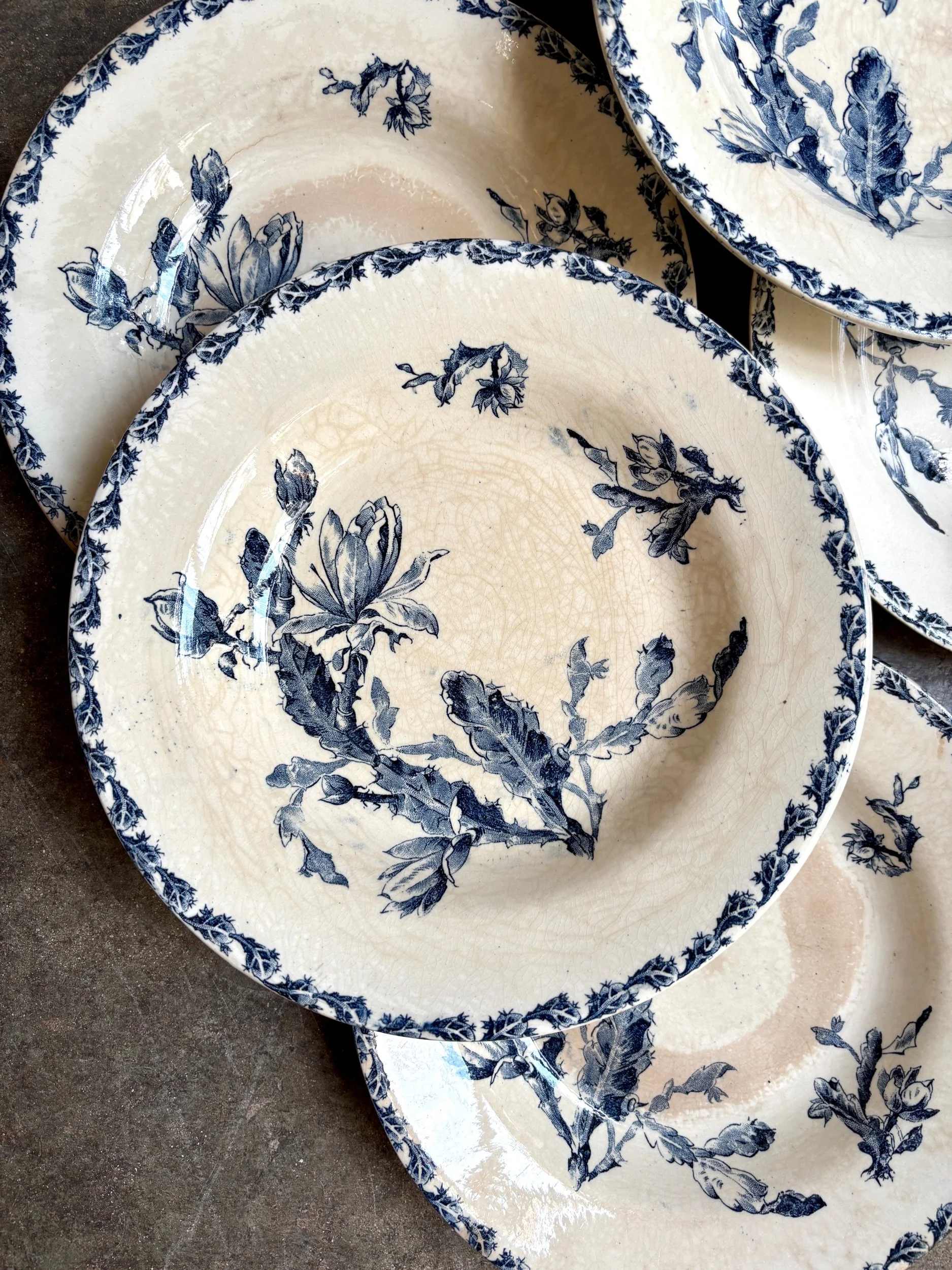 assiettes-creuses-gien-cactus-bleu-blanc-terre-fer-vaisselle-vintage-axs-design-paris-france