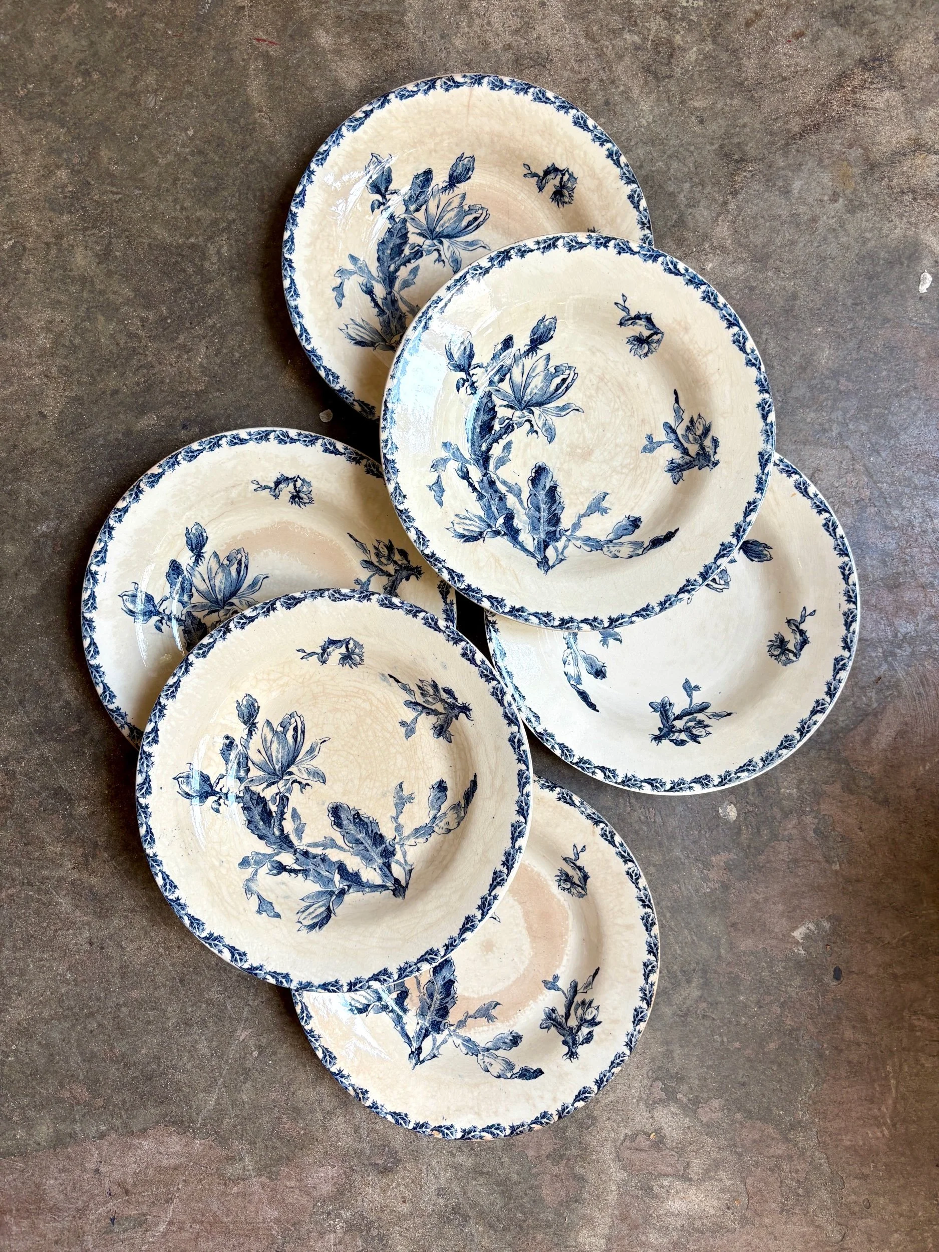 assiettes-creuses-gien-cactus-bleu-blanc-terre-fer-vaisselle-vintage-axs-design-paris-france