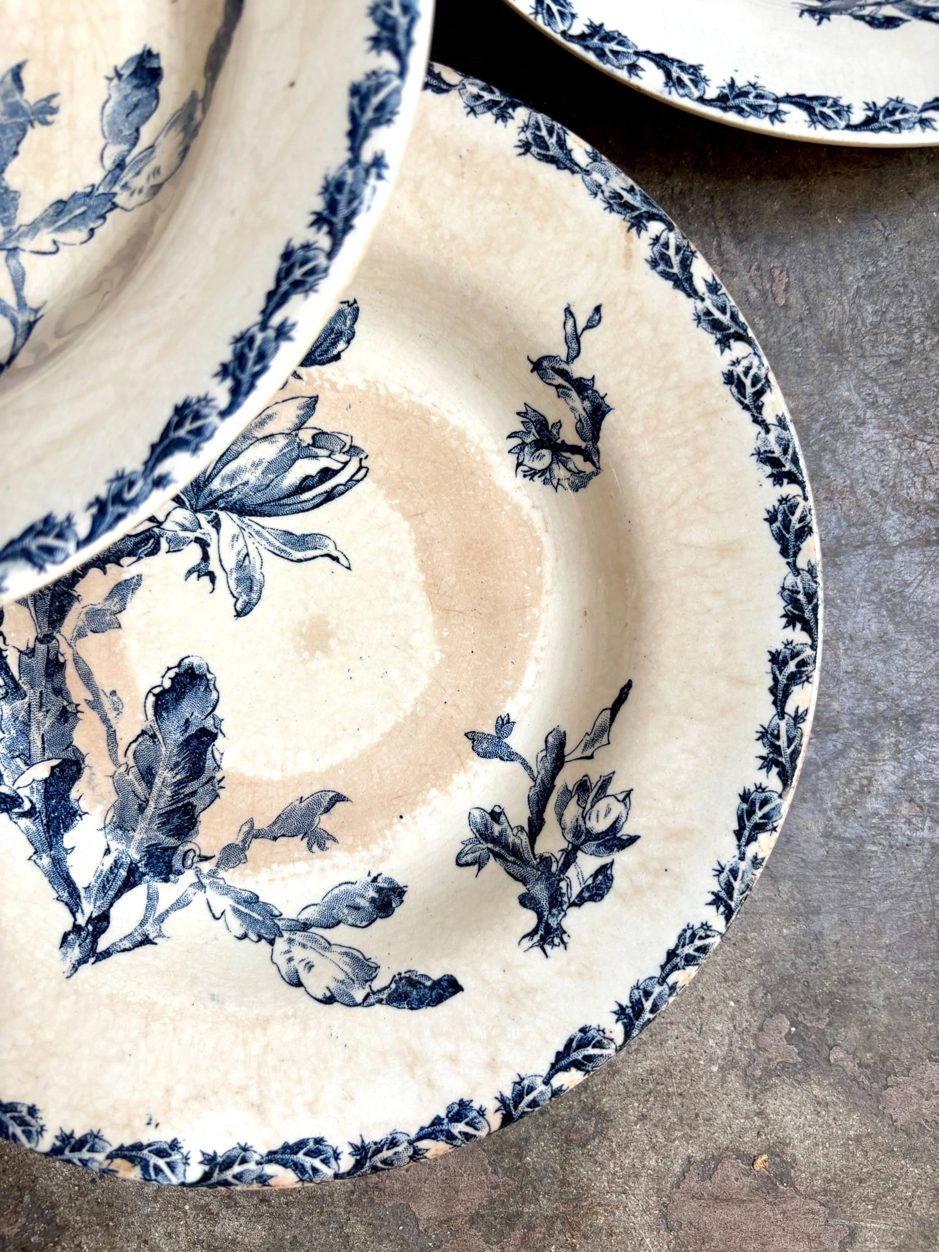 assiettes-creuses-gien-cactus-bleu-blanc-terre-fer-vaisselle-vintage-axs-design-paris-france