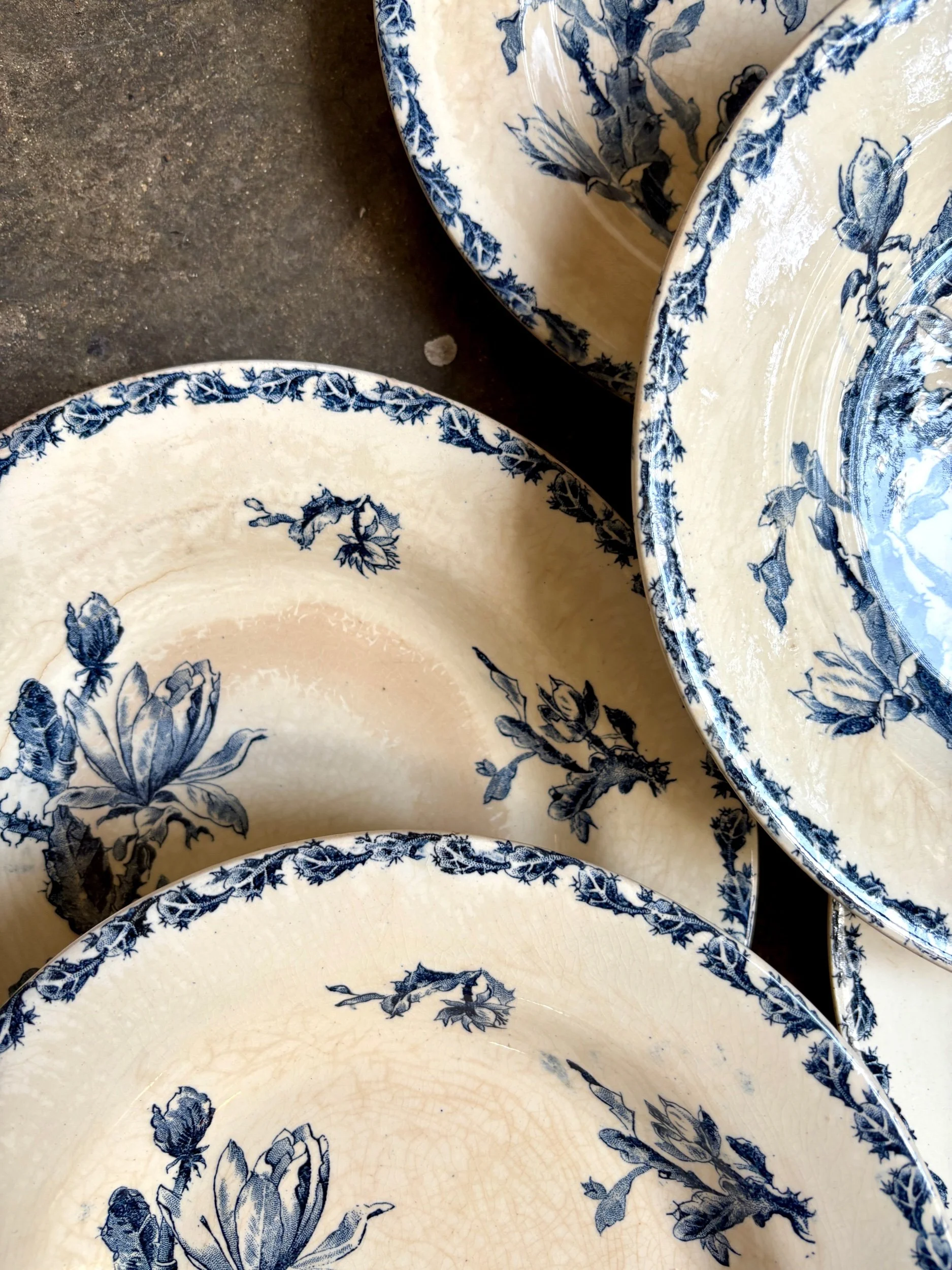 assiettes-creuses-gien-cactus-bleu-blanc-terre-fer-vaisselle-vintage-axs-design-paris-france