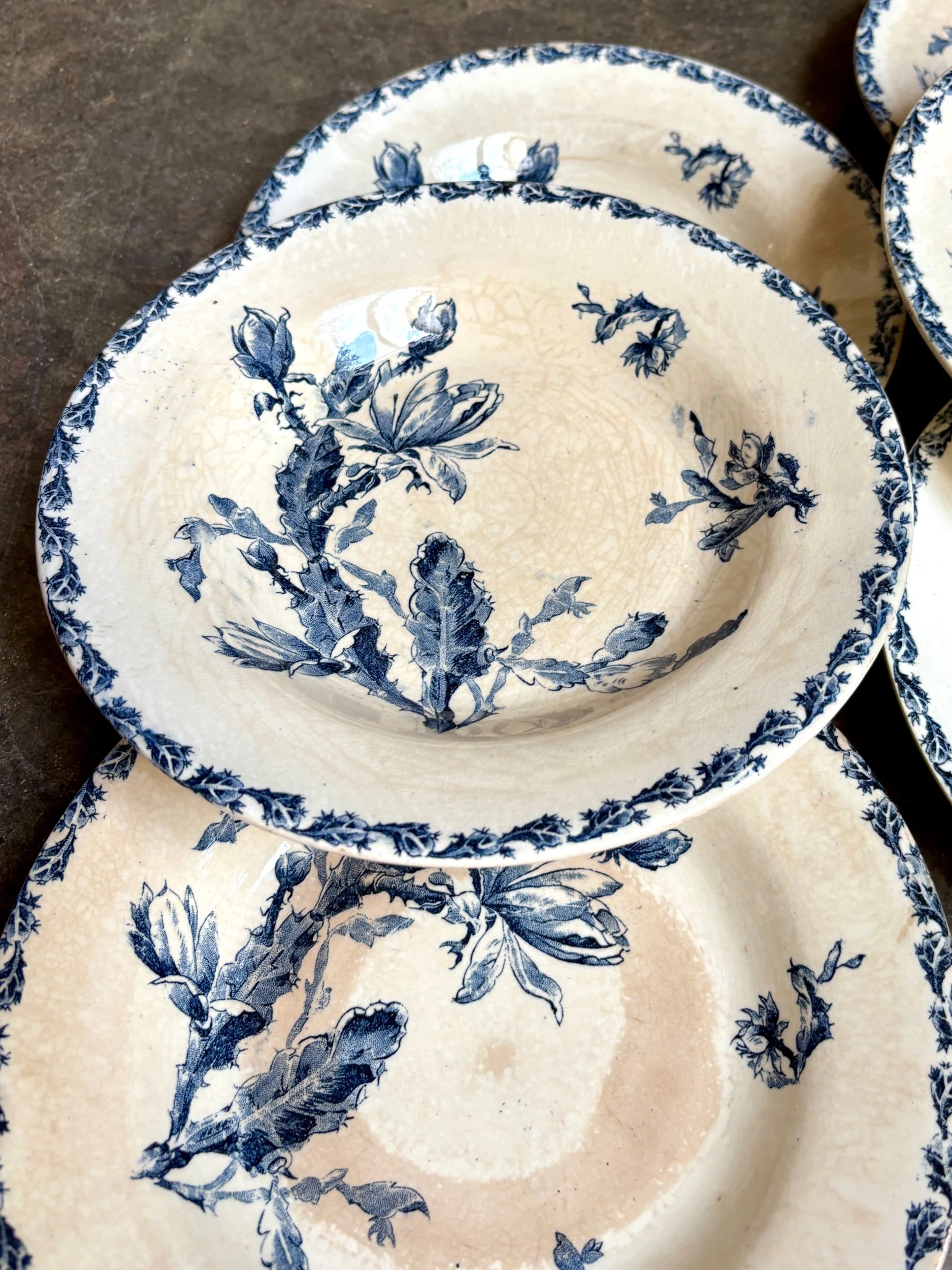 assiettes-creuses-gien-cactus-bleu-blanc-terre-fer-vaisselle-vintage-axs-design-paris-france
